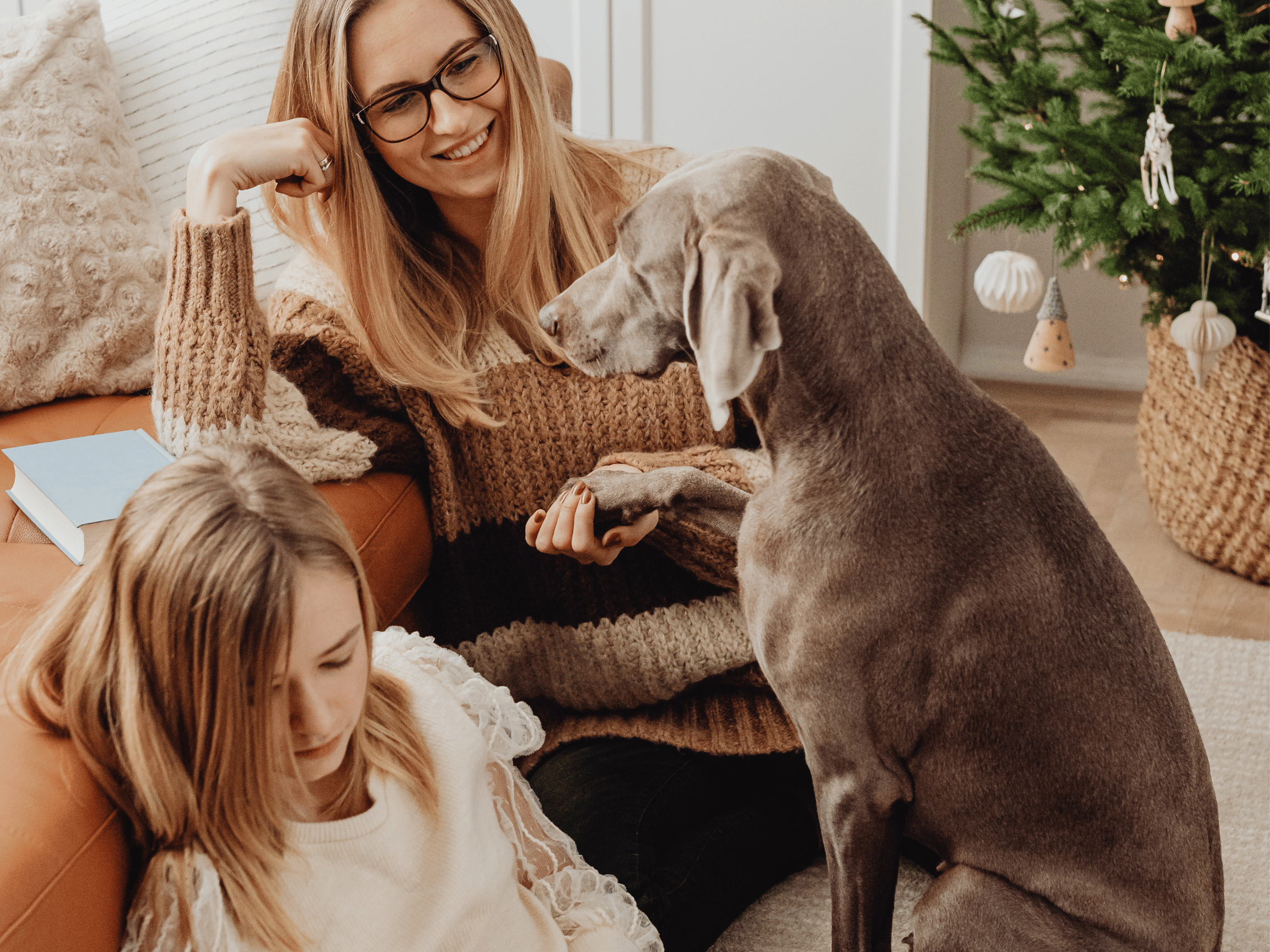 Making Memorable Moments with Your Pets This Holiday Season