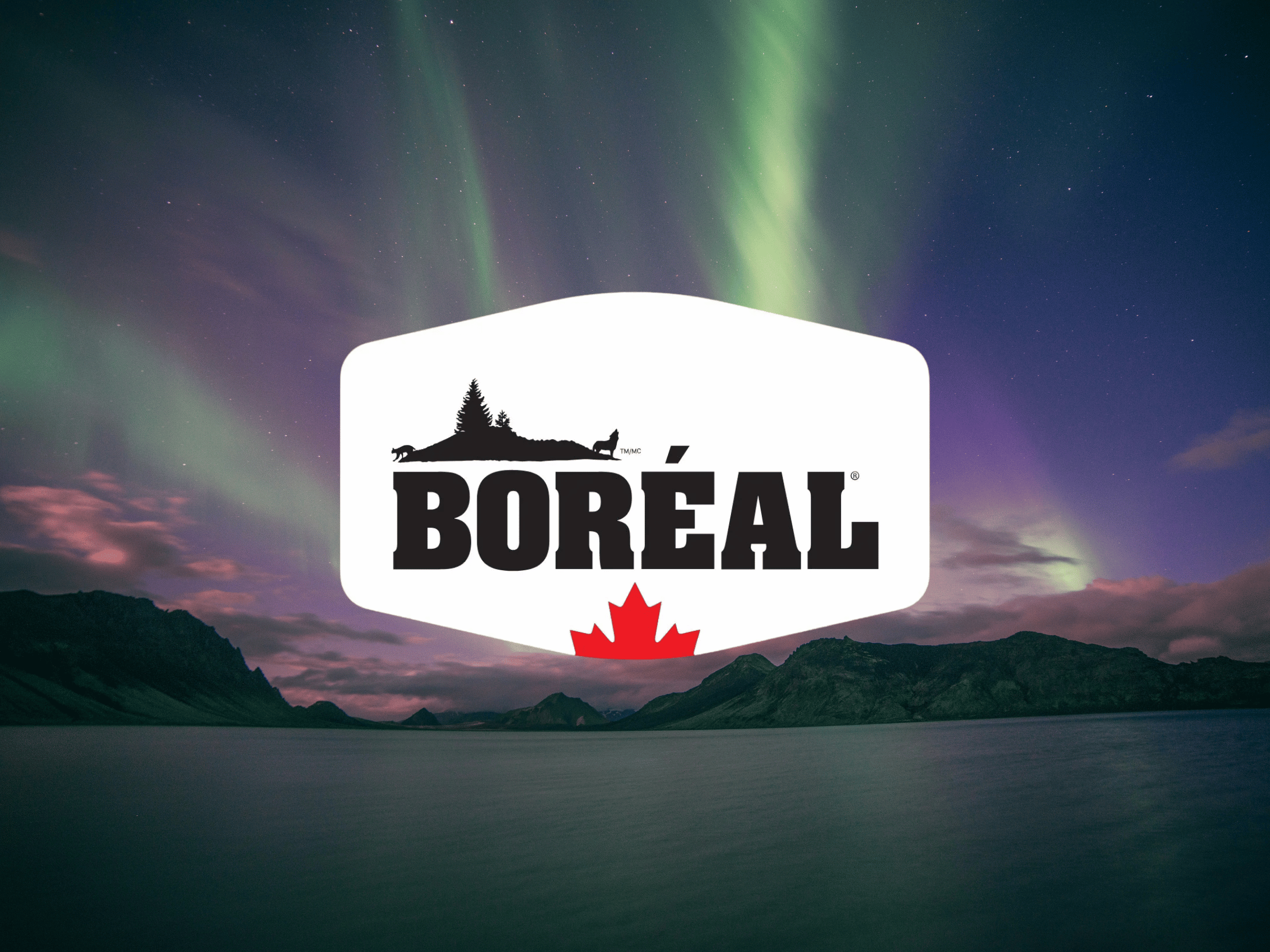 Meet Boréal: Canada’s Own Natural Pet Nutrition Leader