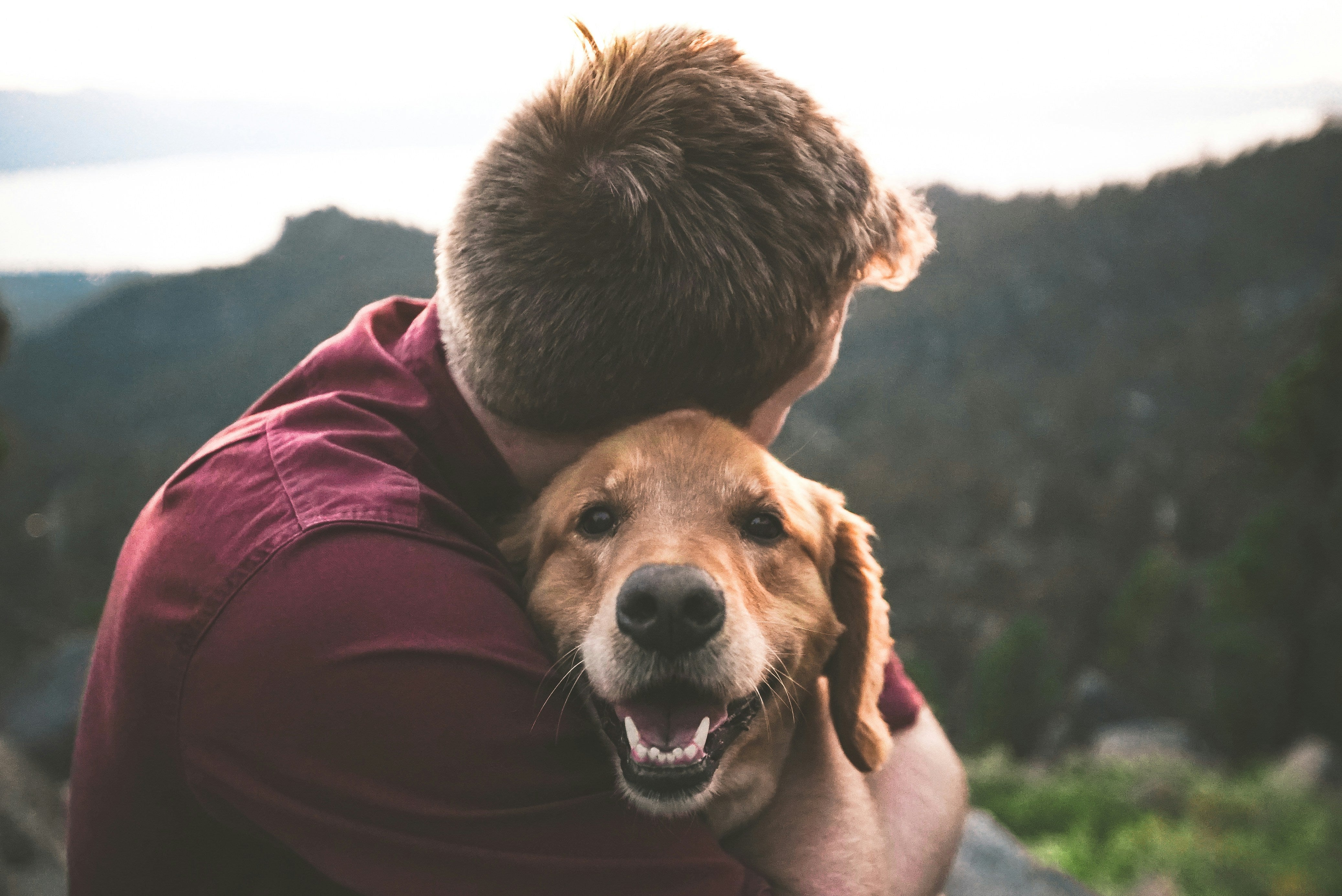 Father's Day Gift Guide 2026: Ideas for Dog Dads (and the Dogs Who Love Them)
