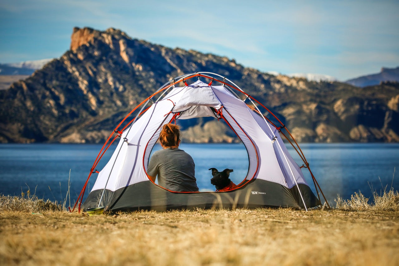 Camping & Hiking With Your Dog: A Canadian Trail & Campsite Guide (2026)