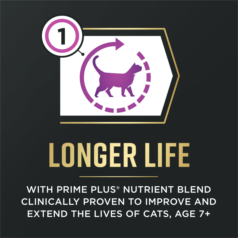 Purina Pro Plan AdvantEDGE Senior Support+ Chicken & Rice Formula Adult 7+ Dry Cat Food