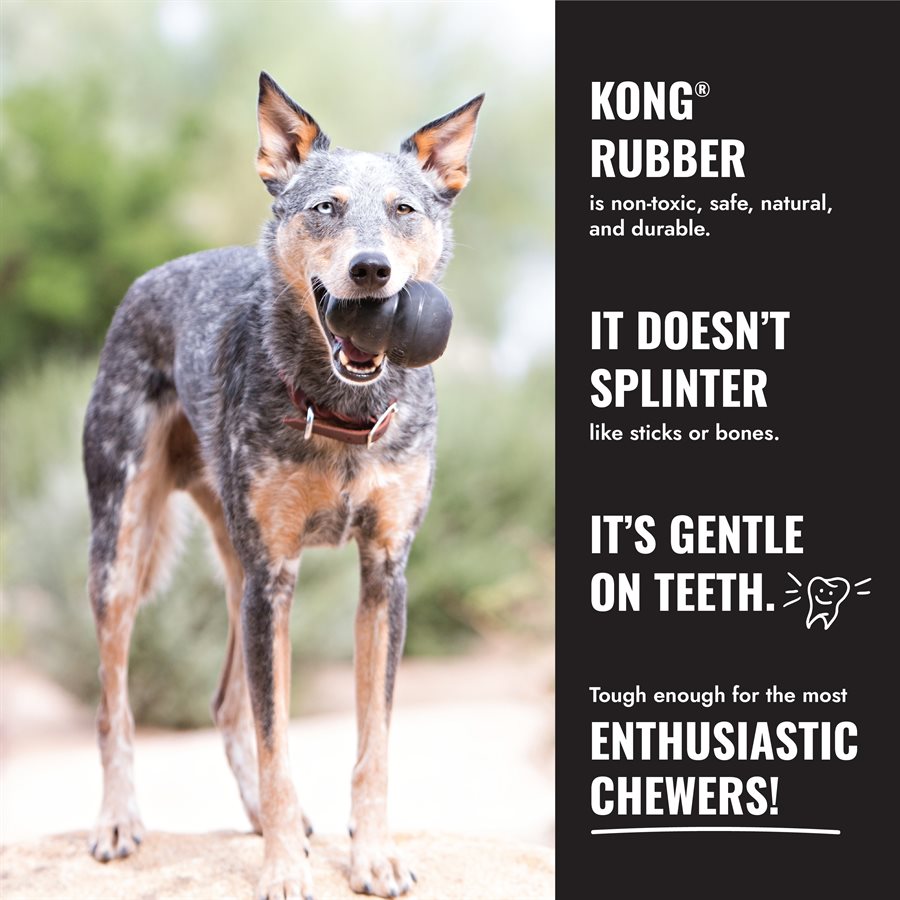 Kong Extreme Donut Dog Toy