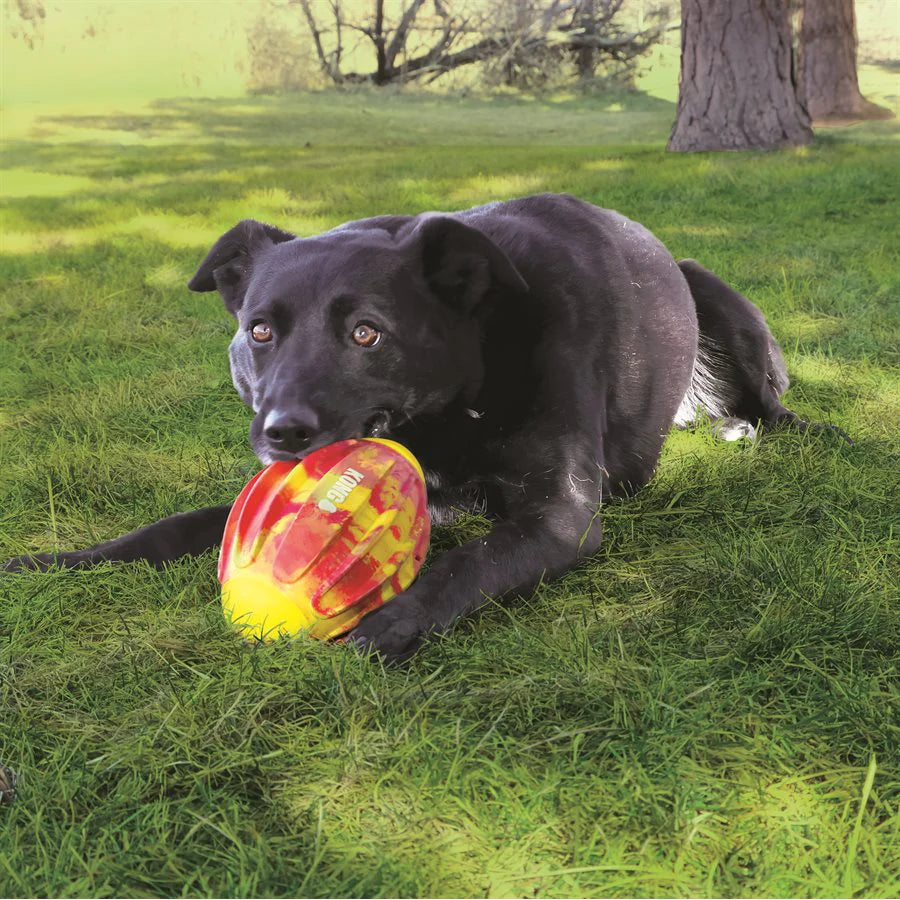 Kong Dog Flexball Sports Football Medium