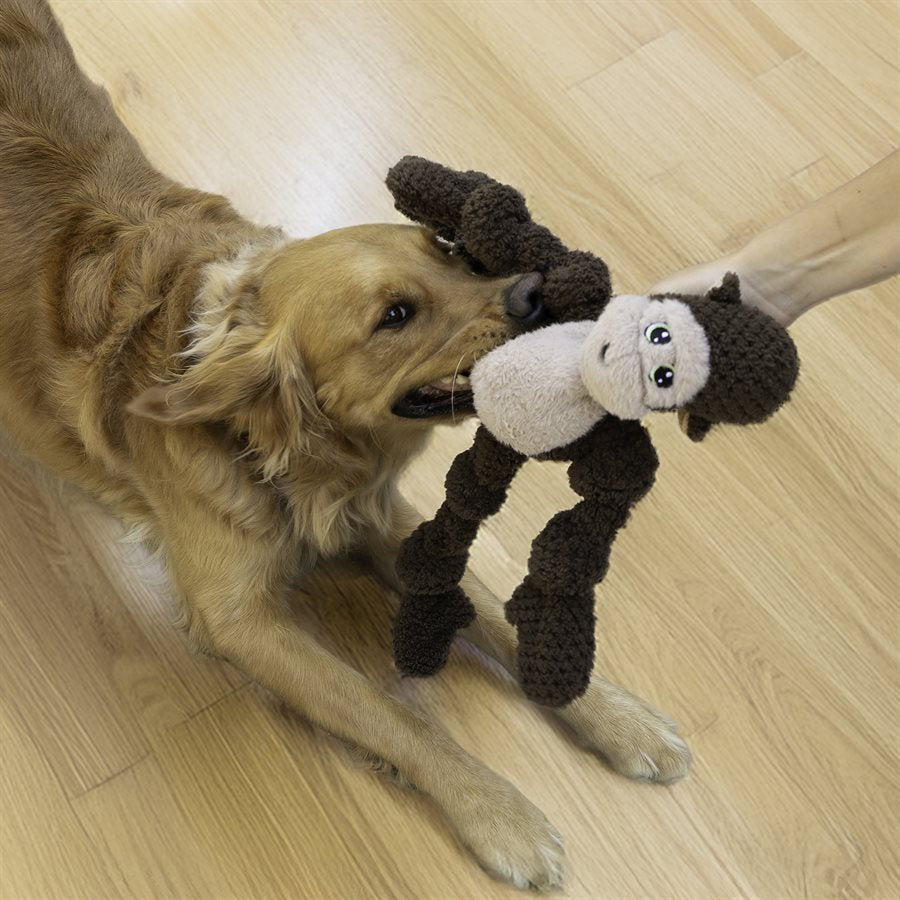 Kong Wild KnotS Monkey Extra Large/X-Large