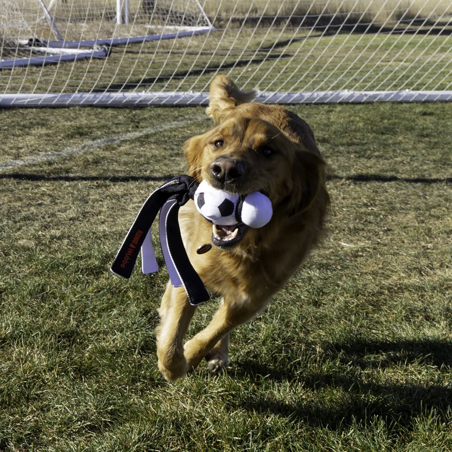 KONG Wubba Sport Soccer Ball Dog Toy