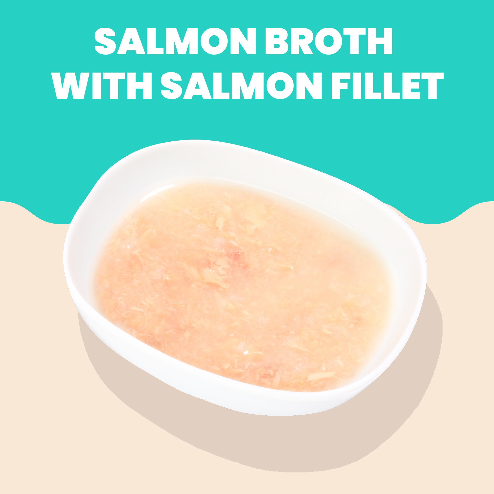 Almo Nature HQS Hydration Help Salmon Recipe in Broth for Cats