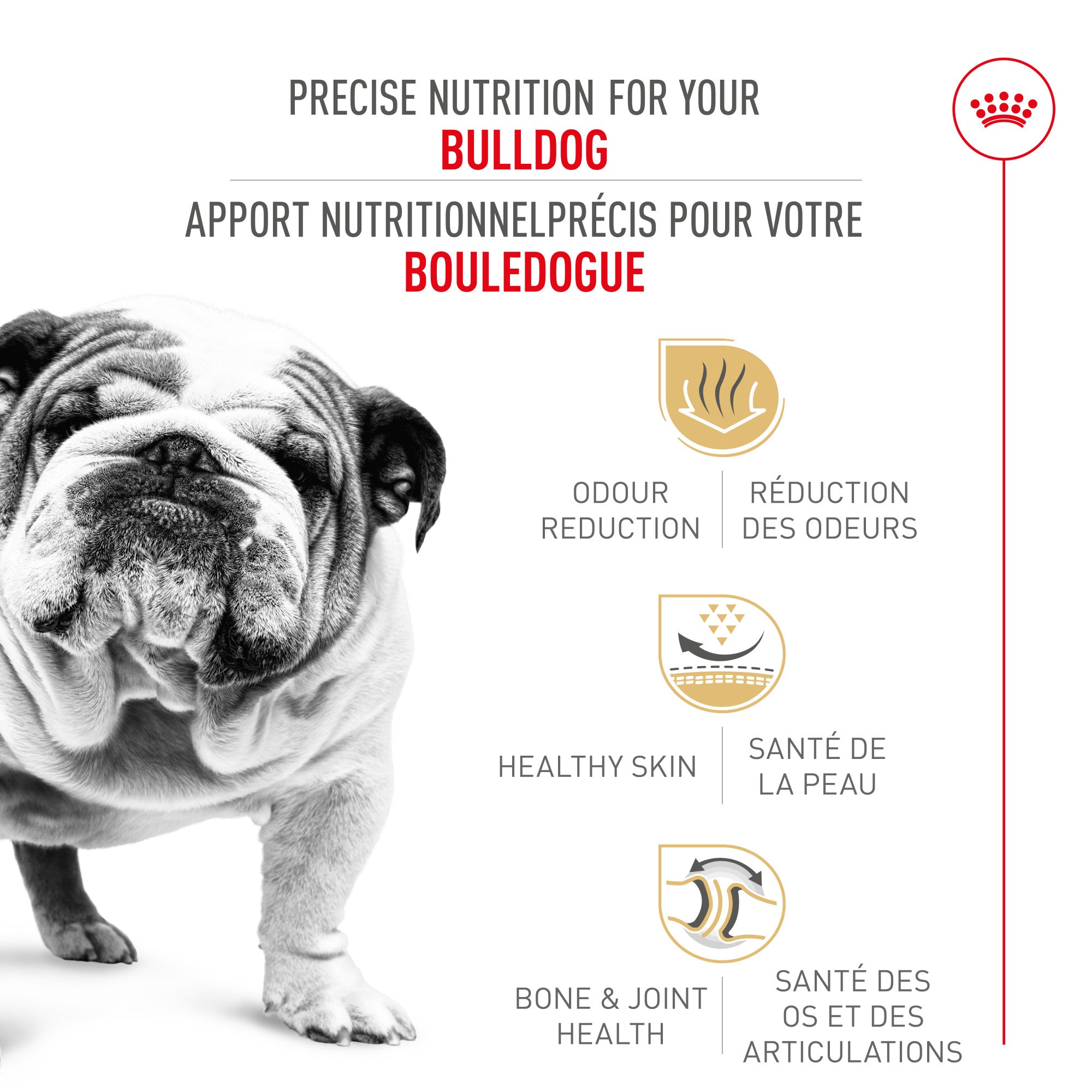 Royal Canin® Breed Health Nutrition® Bulldog Adult Dry Dog Food