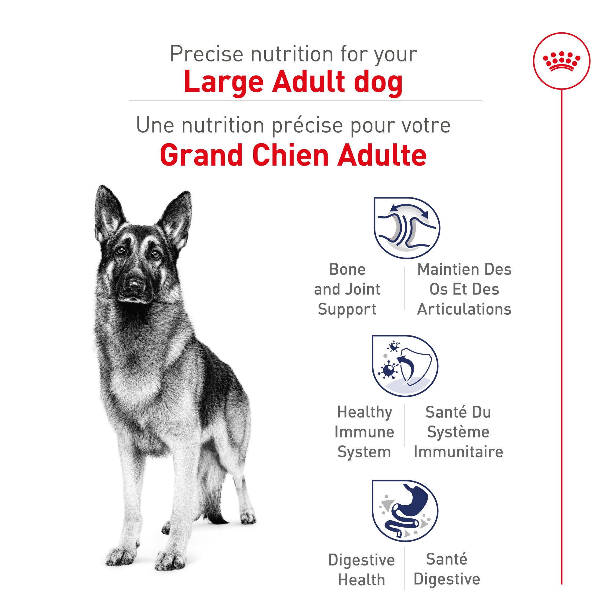 Royal Canin Croquettes Chien Grande Race Adulte