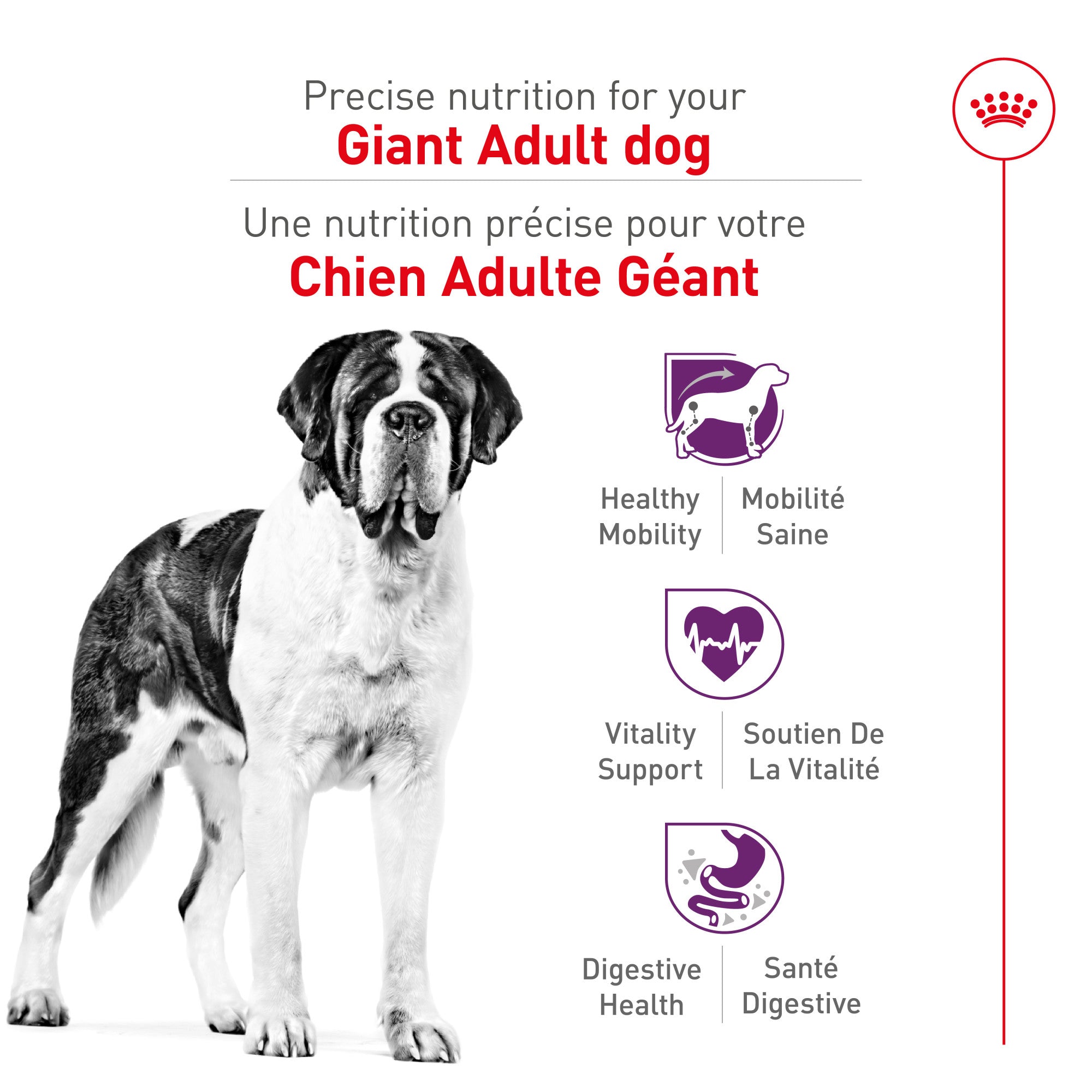 Royal Canin Chien Race Géante Adulte