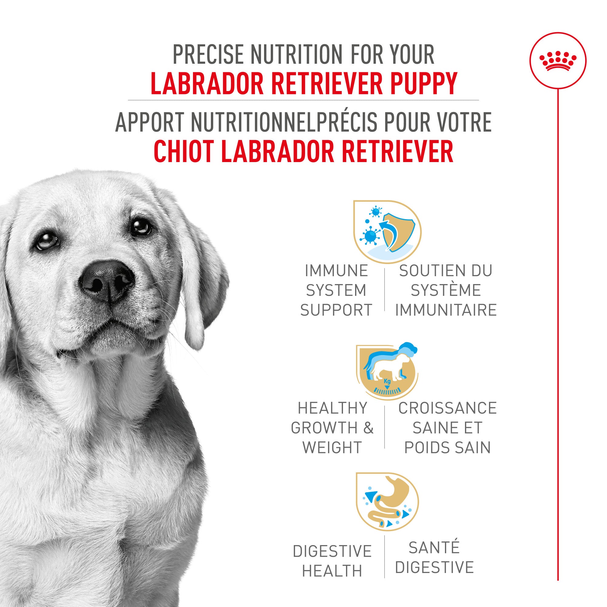 Royal Canin® Breed Health Nutrition® Labrador Retriever Puppy Dry Puppy Food