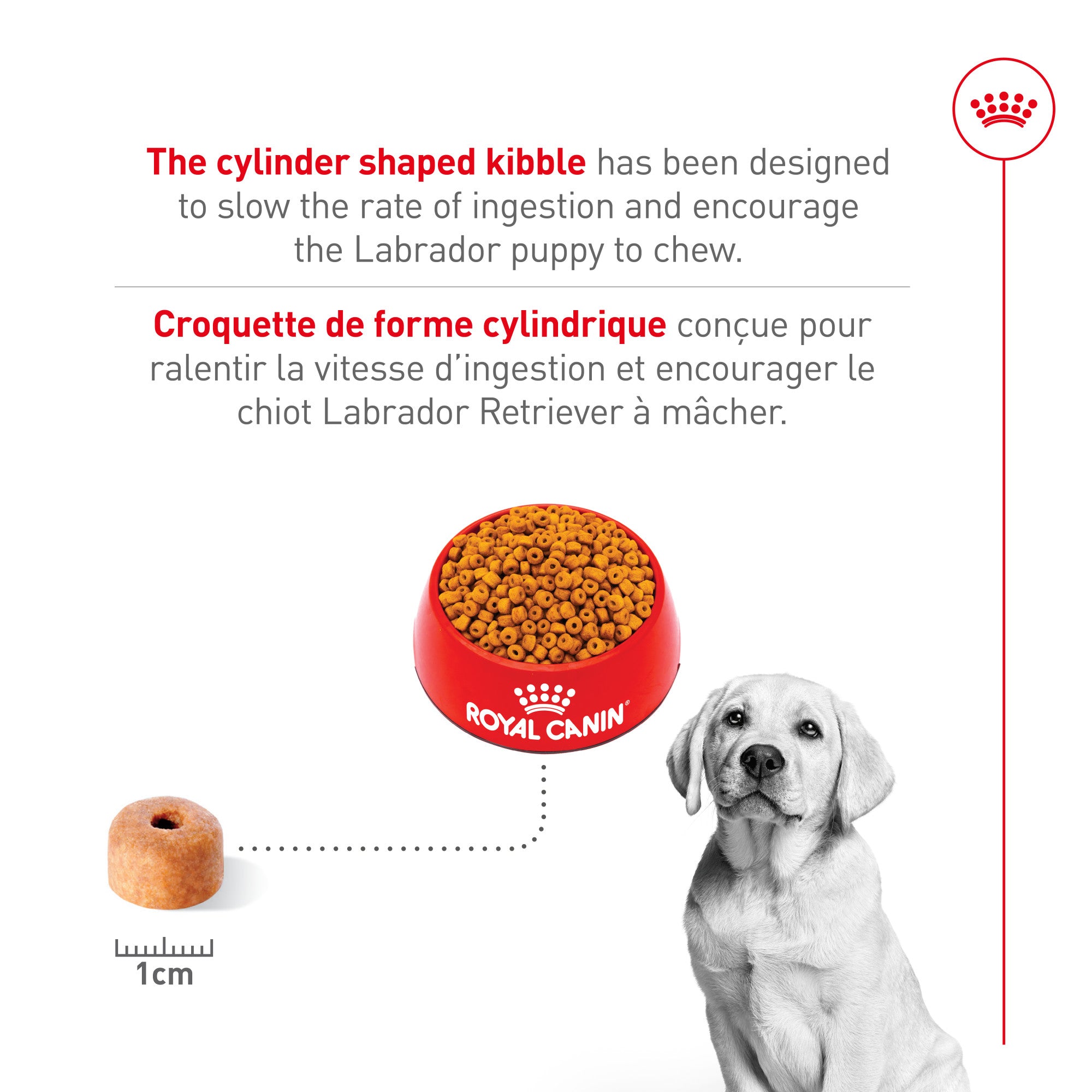 Royal Canin® Breed Health Nutrition® Labrador Retriever Puppy Dry Puppy Food