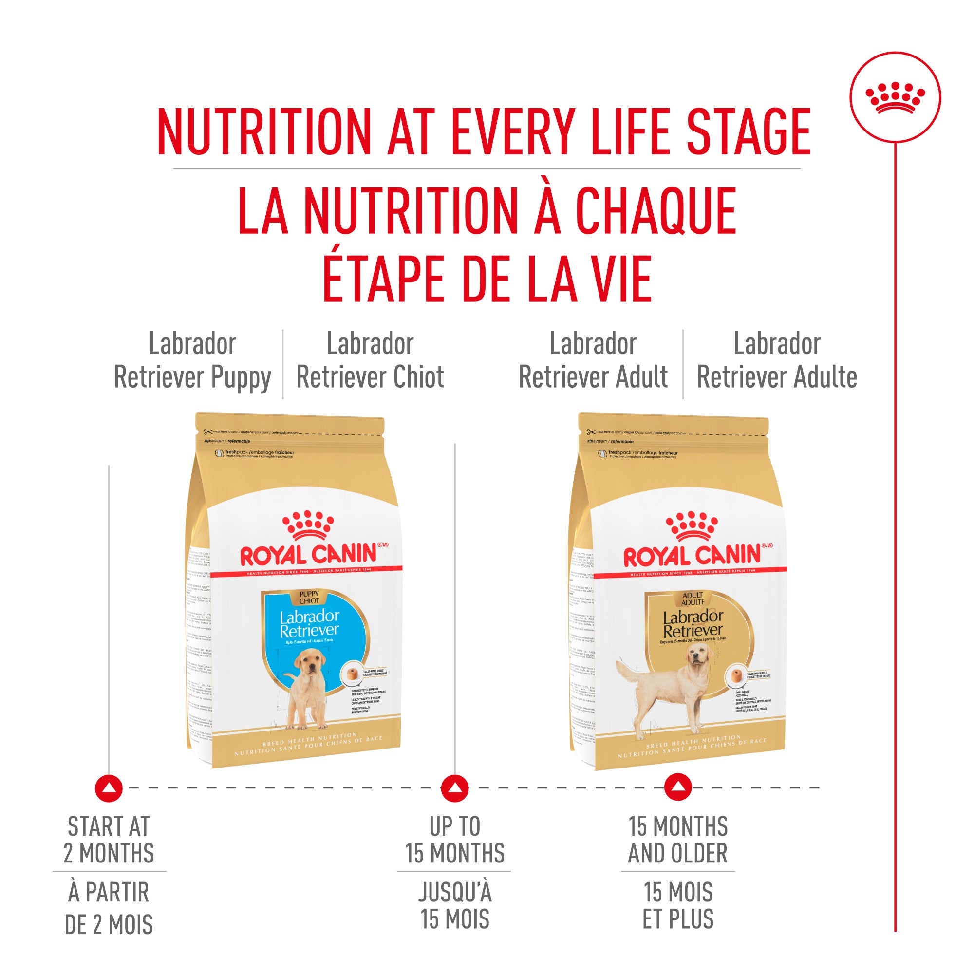 Royal Canin® Breed Health Nutrition® Labrador Retriever Puppy Dry Puppy Food