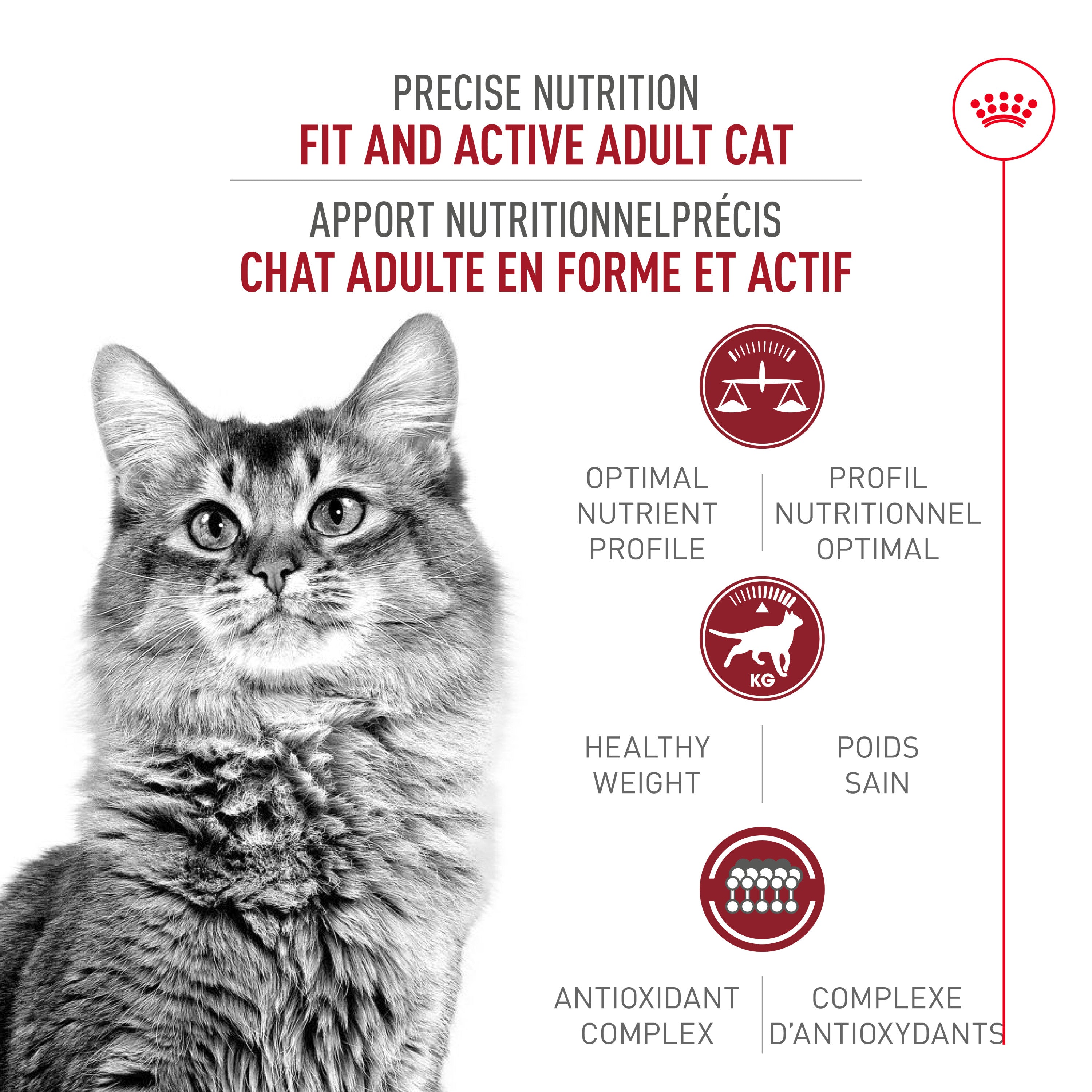 Royal Canin Adult Fit & Active Croquettes Instinctives pour Chats