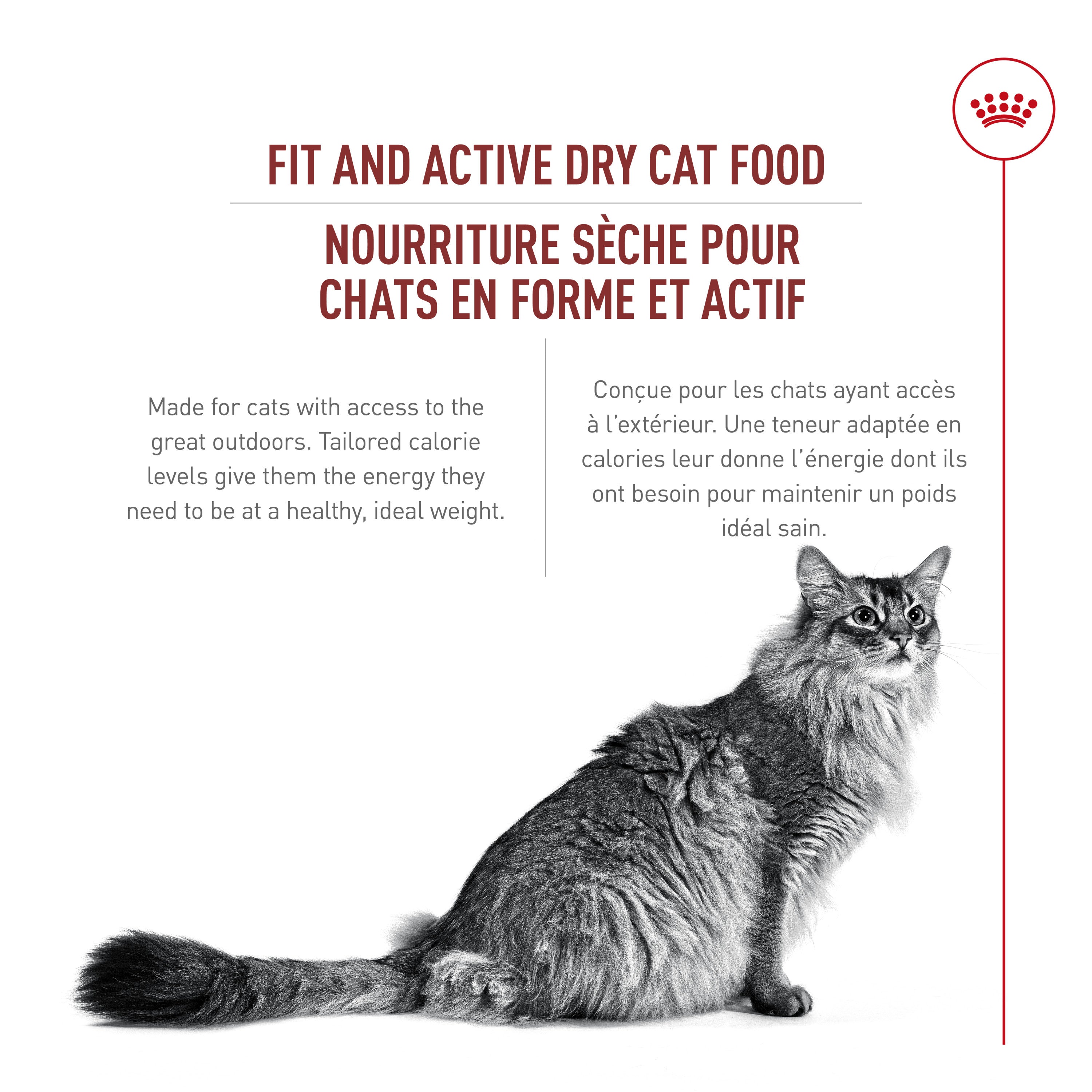 Royal Canin Adult Fit & Active Croquettes Instinctives pour Chats