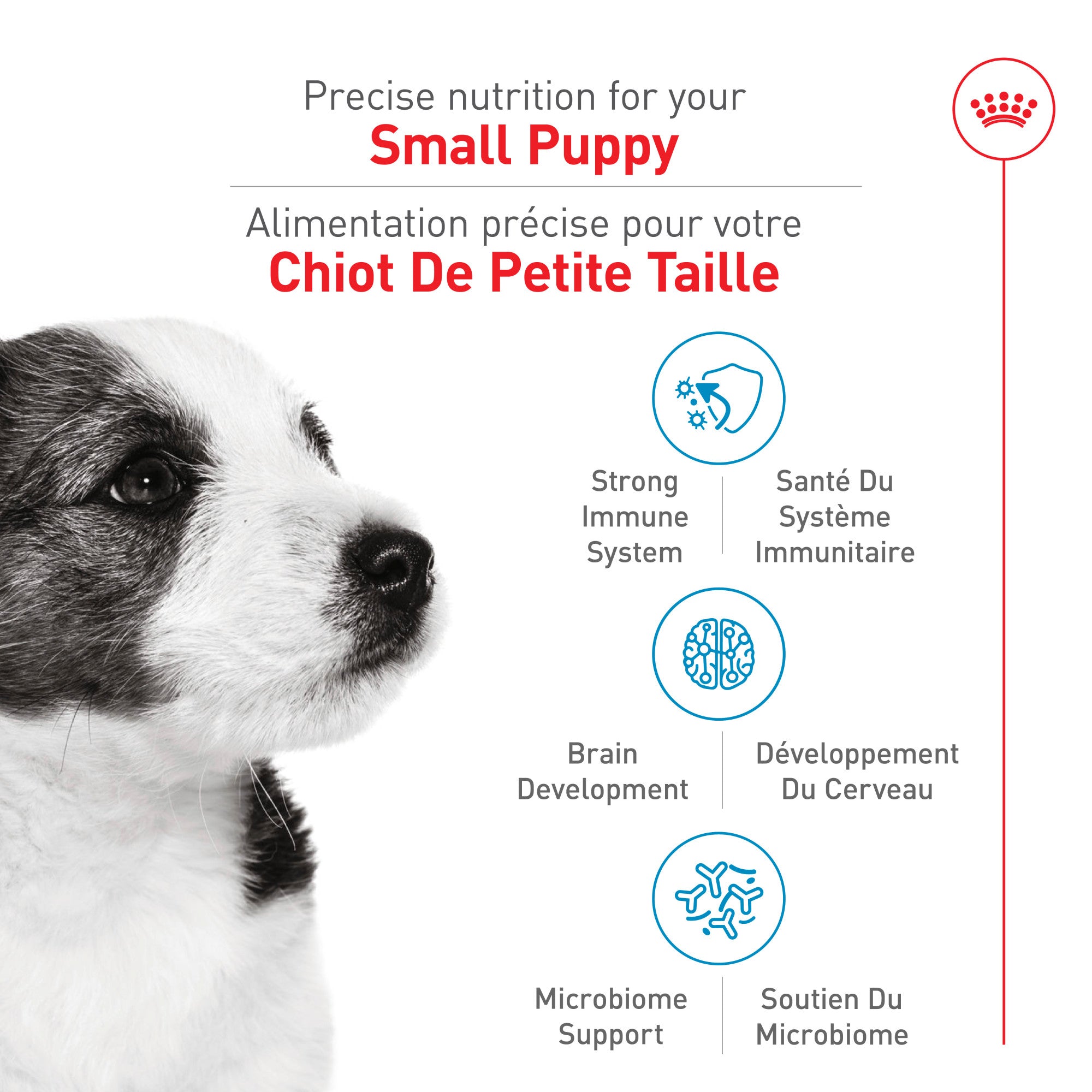Royal Canin Nourriture pour Chien Petit Chiot