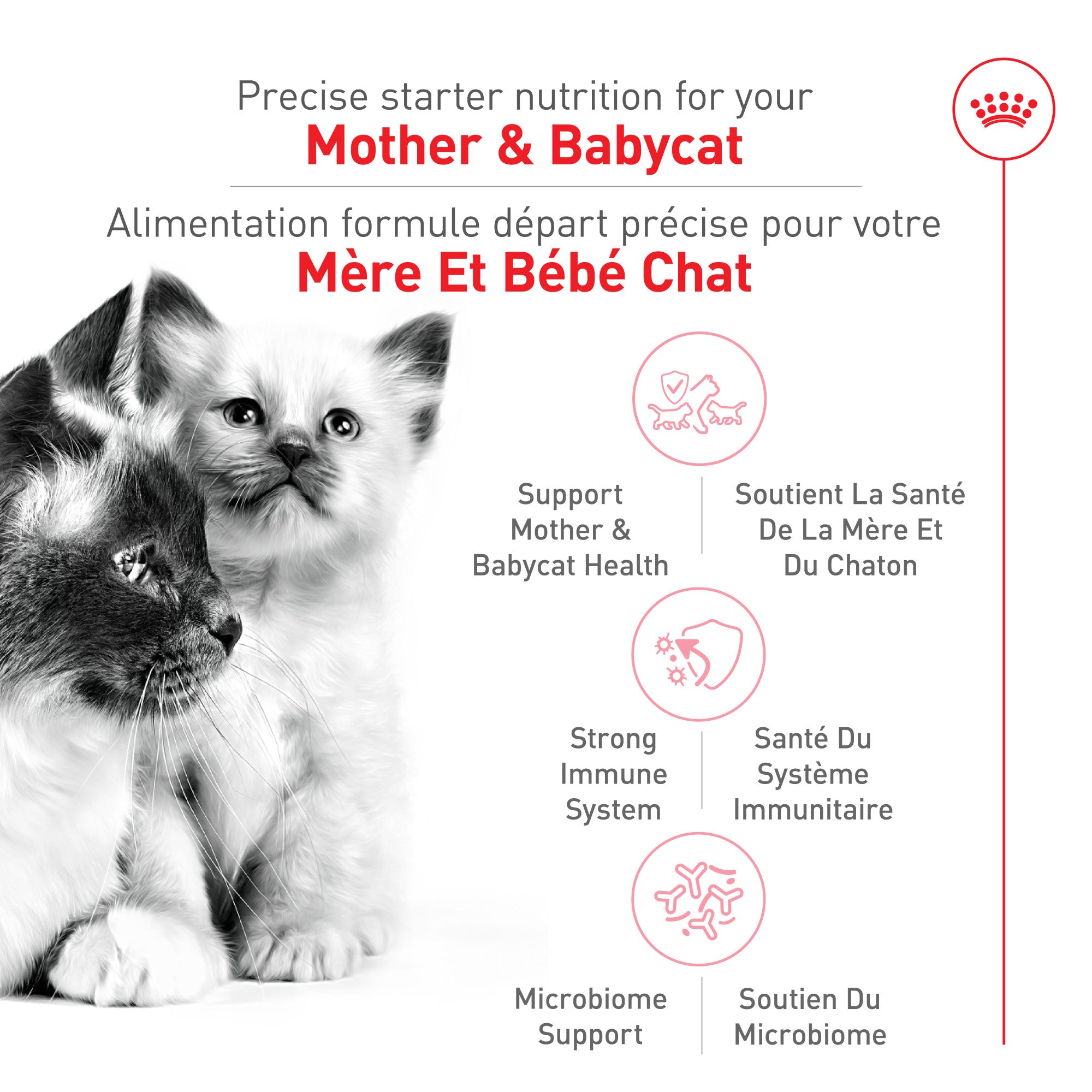 Royal Canin Feline Health Nutrition Mother & Babycat Dry Cat Food