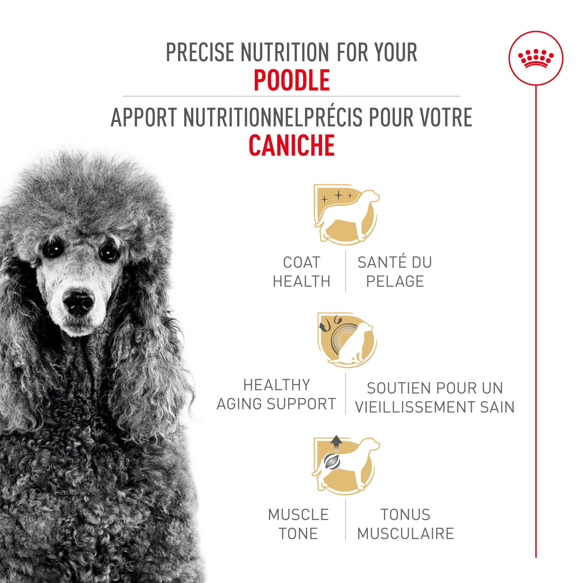 Royal Canin® Breed Health Nutrition® Poodle Adult Dry Dog Food