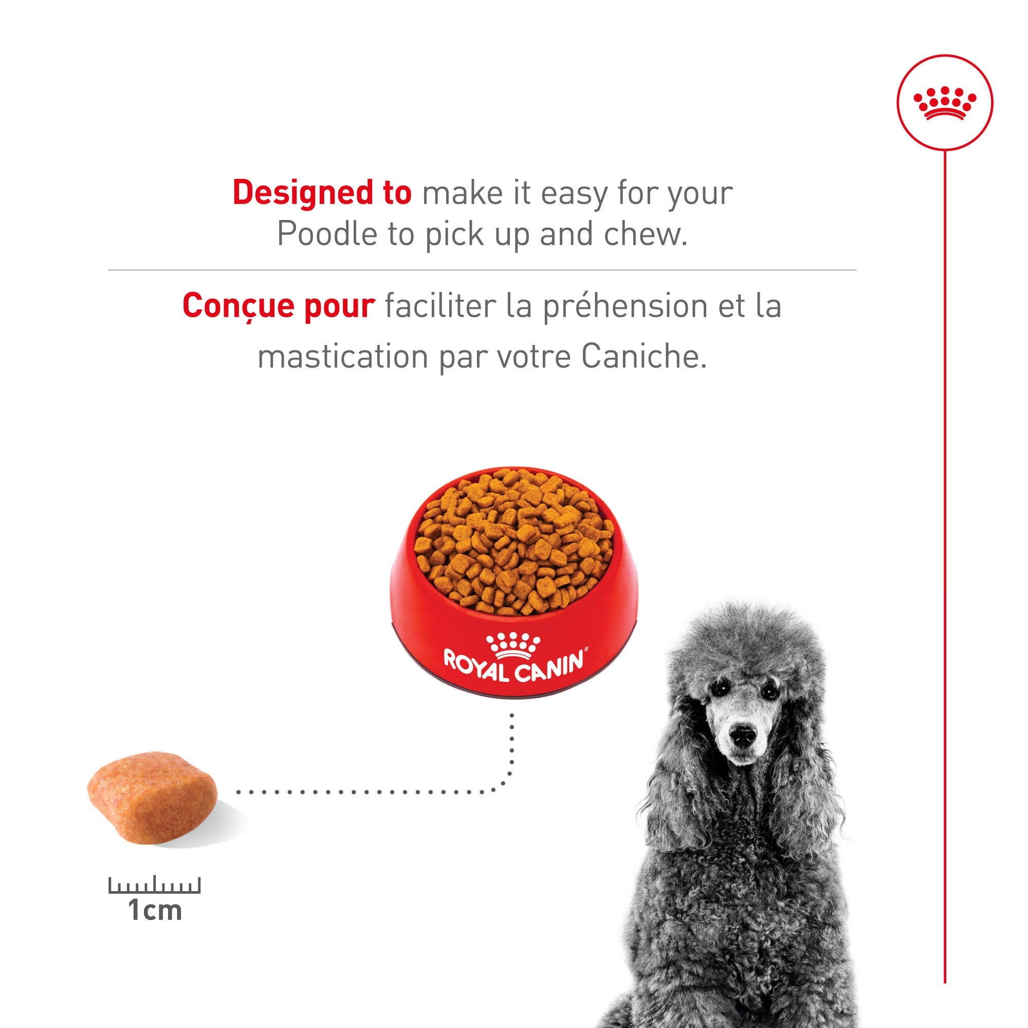 Royal Canin® Breed Health Nutrition® Poodle Adult Dry Dog Food