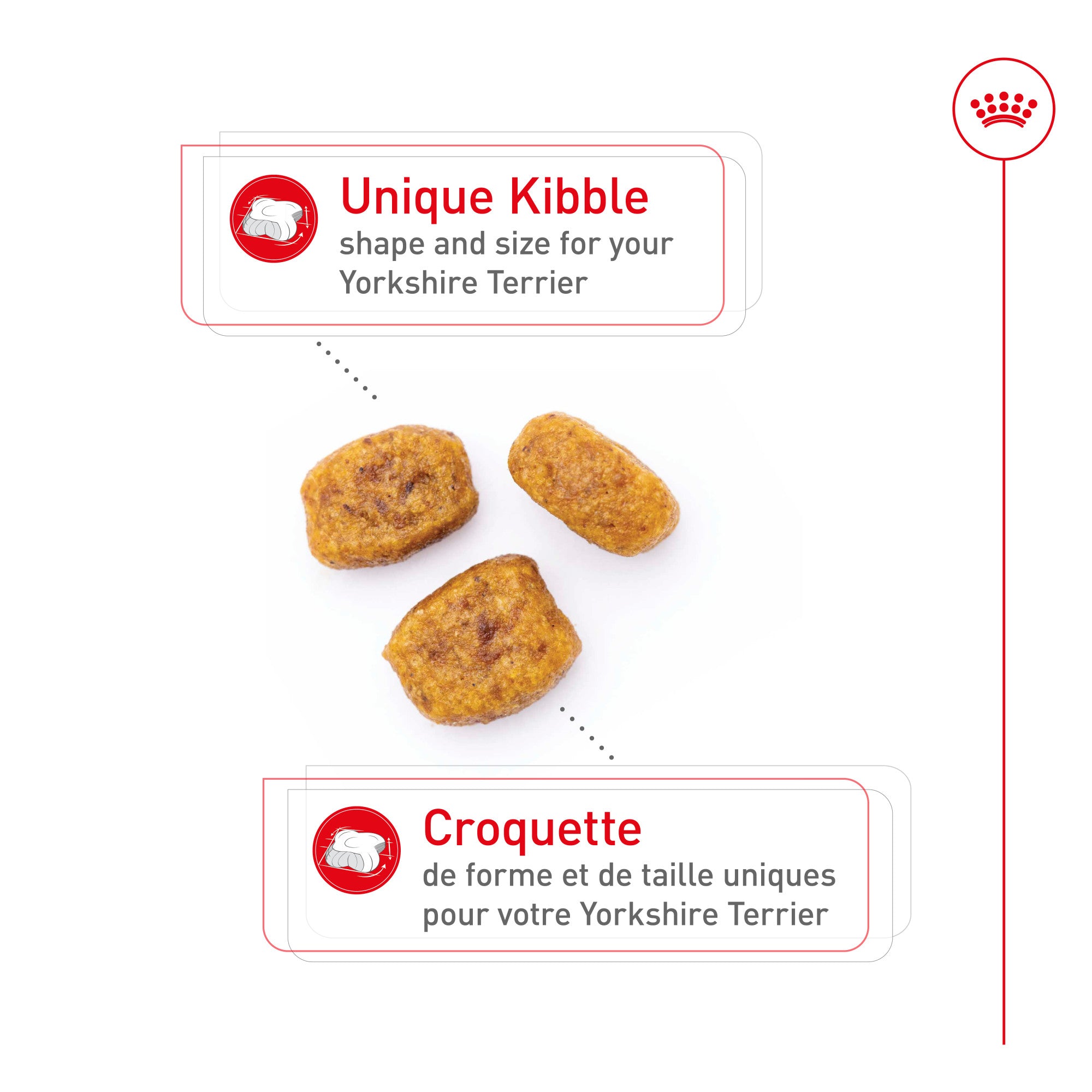 Royal Canin Nourriture pour chien Yorkshire Terrier
