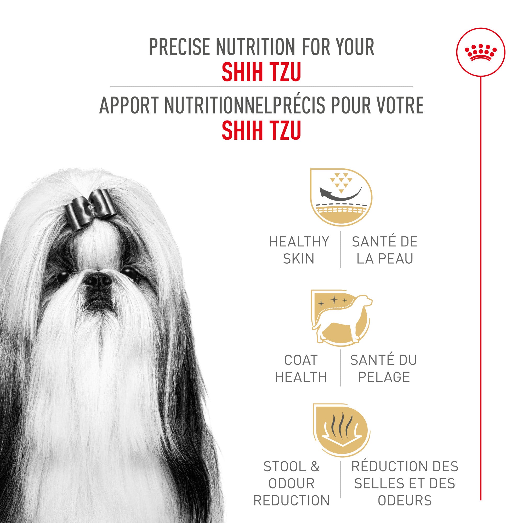 Nourriture pour chien Royal Canin Shih Tzu