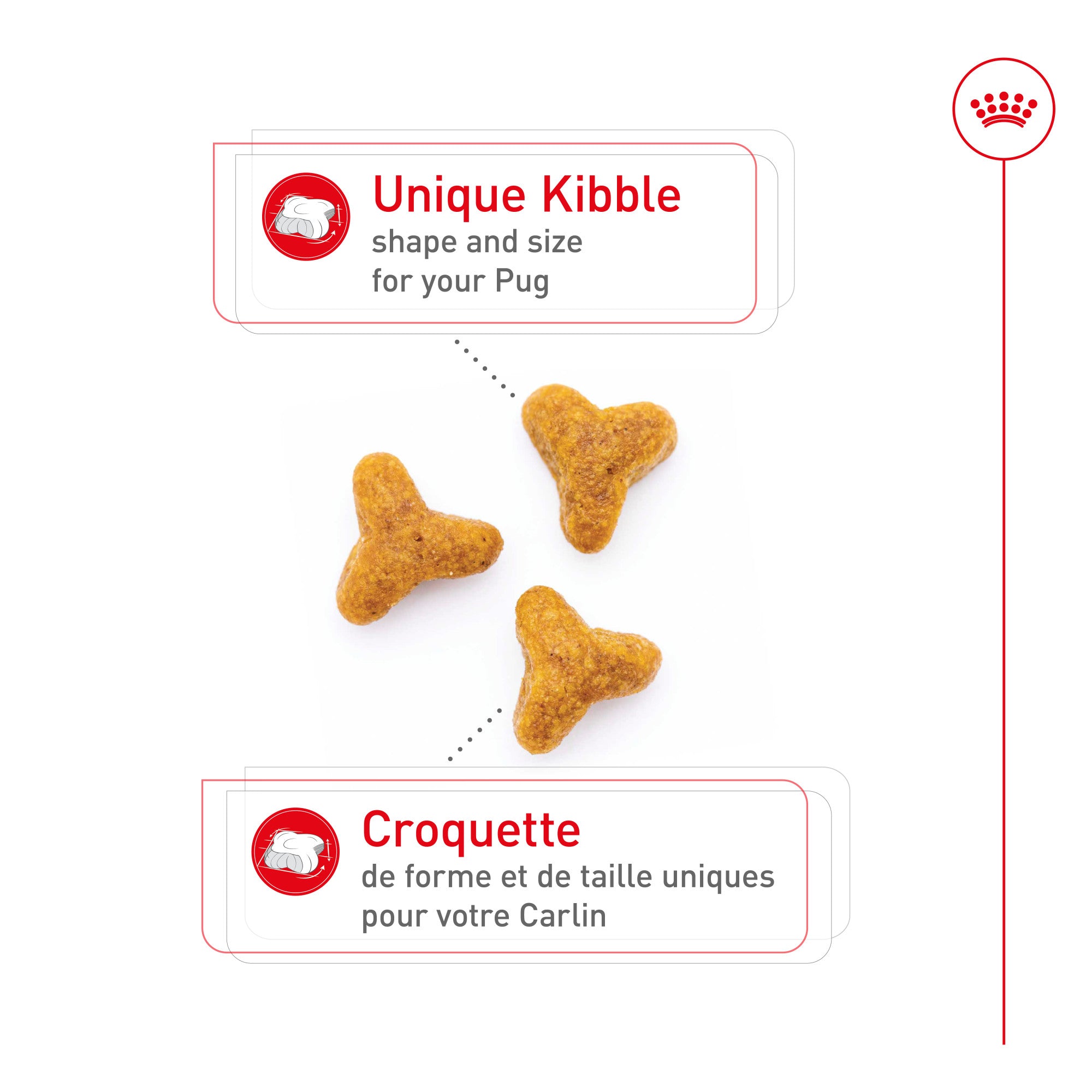 Royal Canin Breed Health Nutrition Carlin Adulte Croquettes pour Chiens