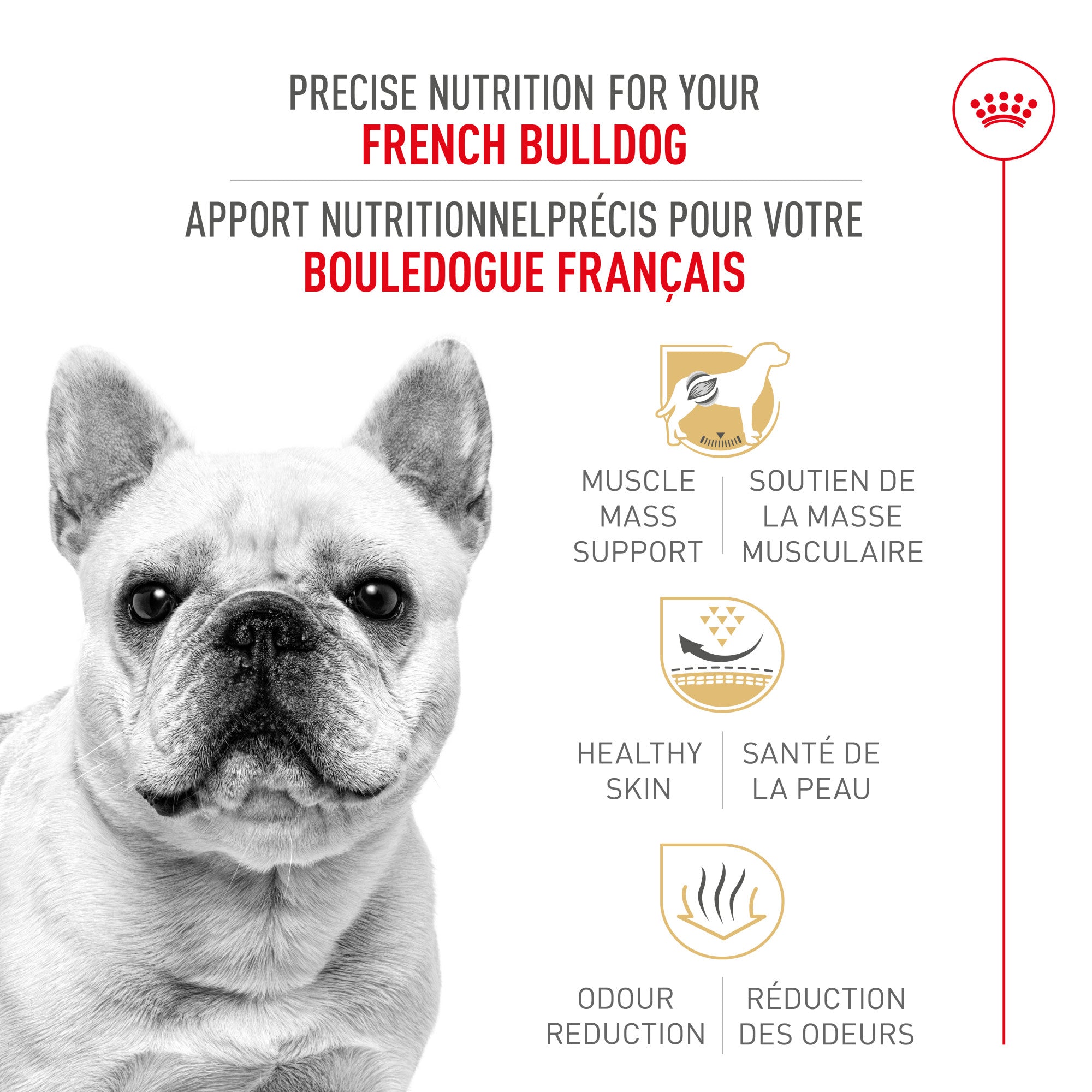 Royal Canin® Breed Health Nutrition® French Bulldog Adult Dry Dog Food
