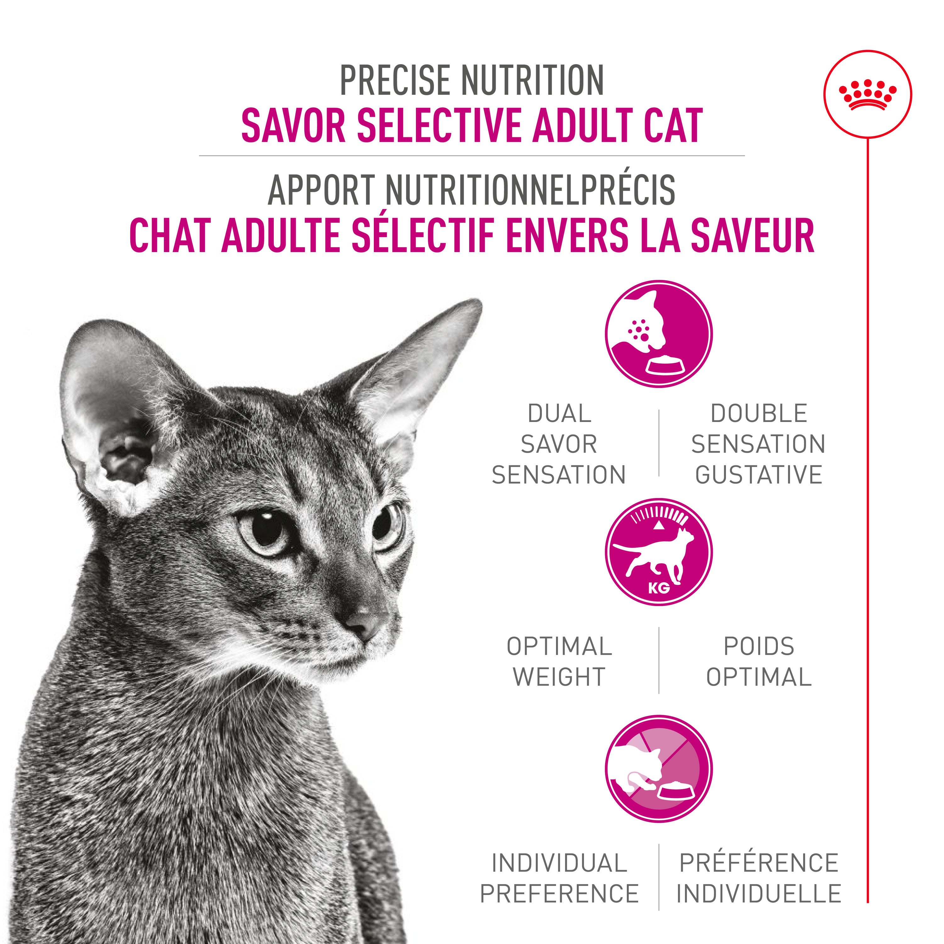 Royal Canin Savor Croquettes Sélectives pour Chats Adultes