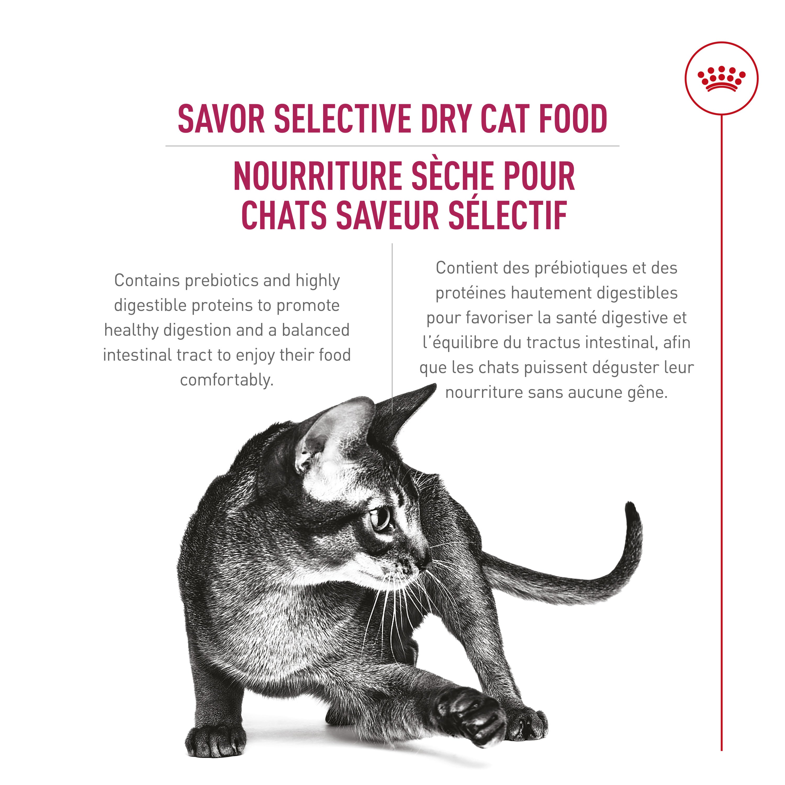 Royal Canin Savor Croquettes Sélectives pour Chats Adultes