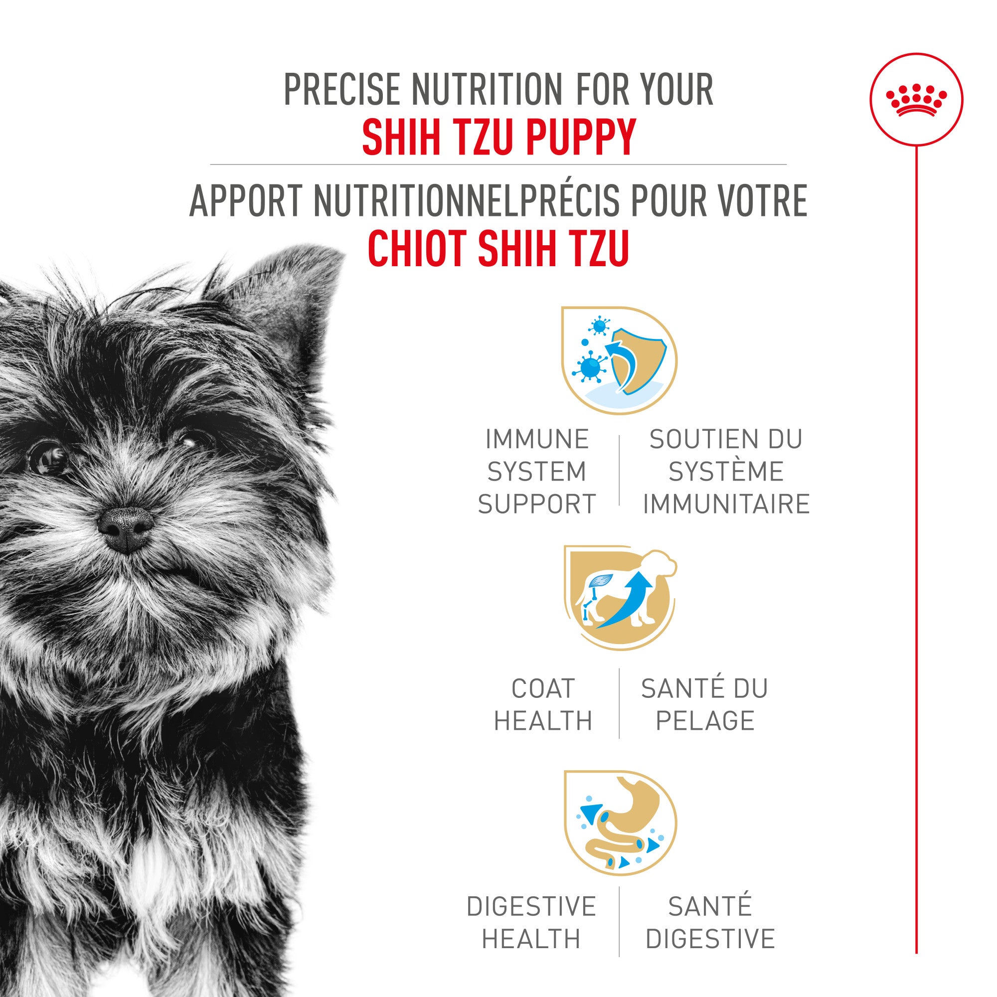 Royal Canin® Breed Health Nutrition® Yorkshire Terrier Puppy Dry Puppy Food