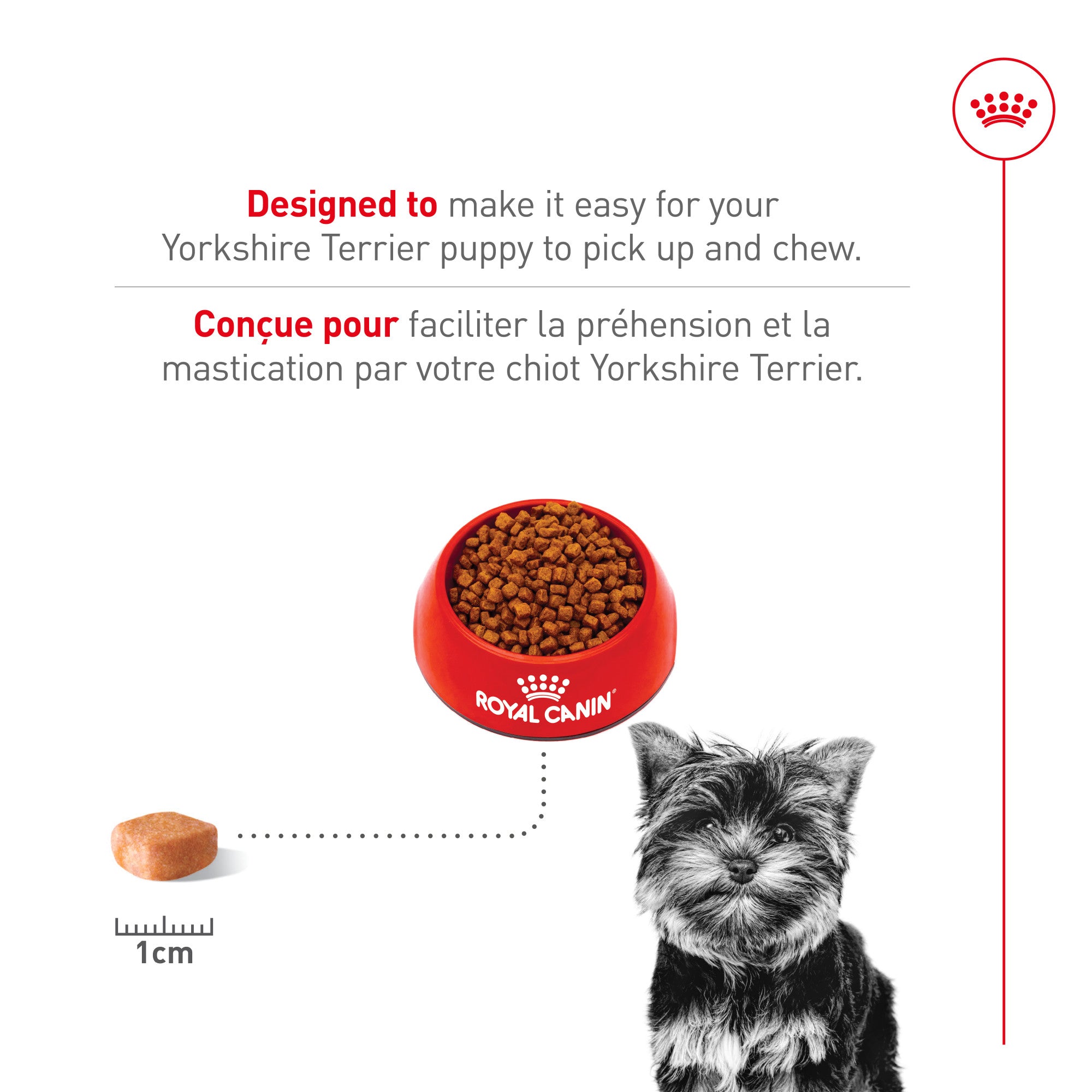 Royal Canin® Breed Health Nutrition® Yorkshire Terrier Puppy Dry Puppy Food