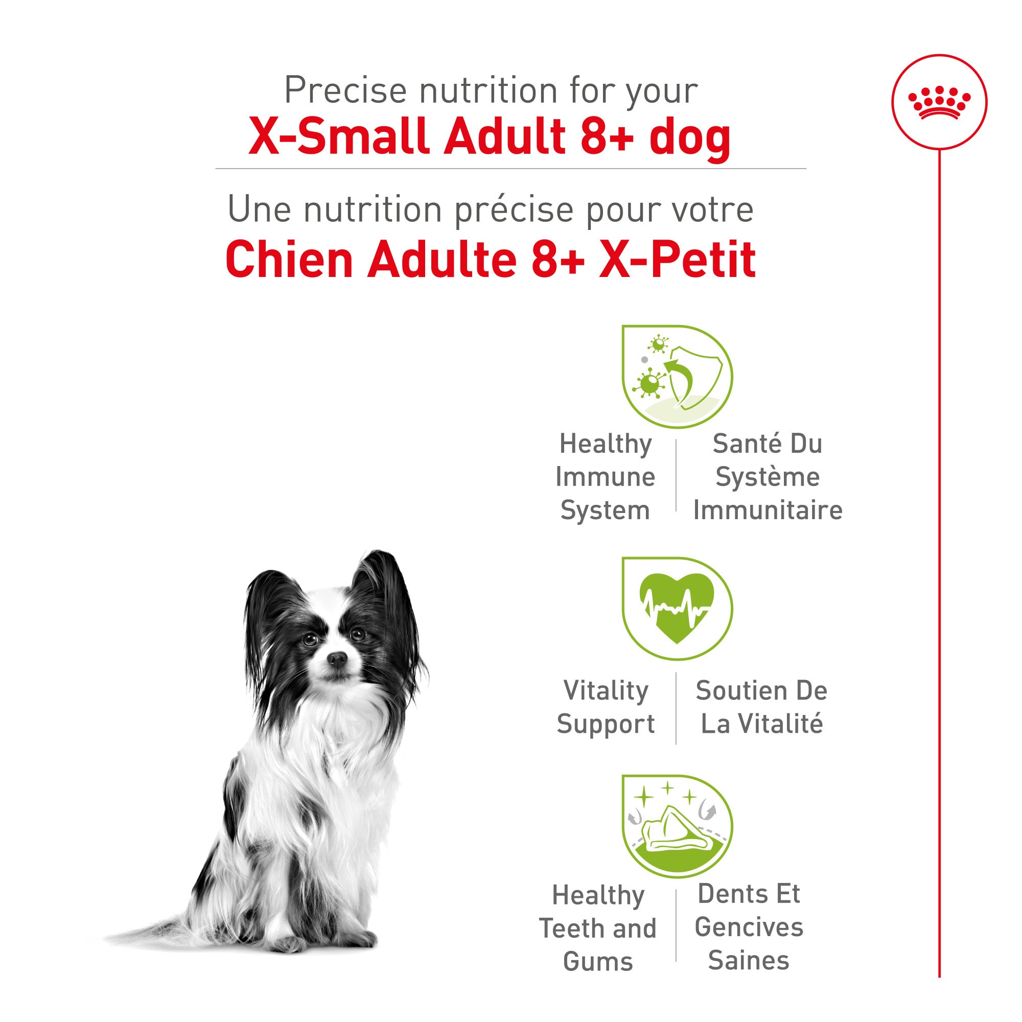 Royal Canin Size Health Nutrition X-Small Mature 8+ Nourriture sèche pour chiens