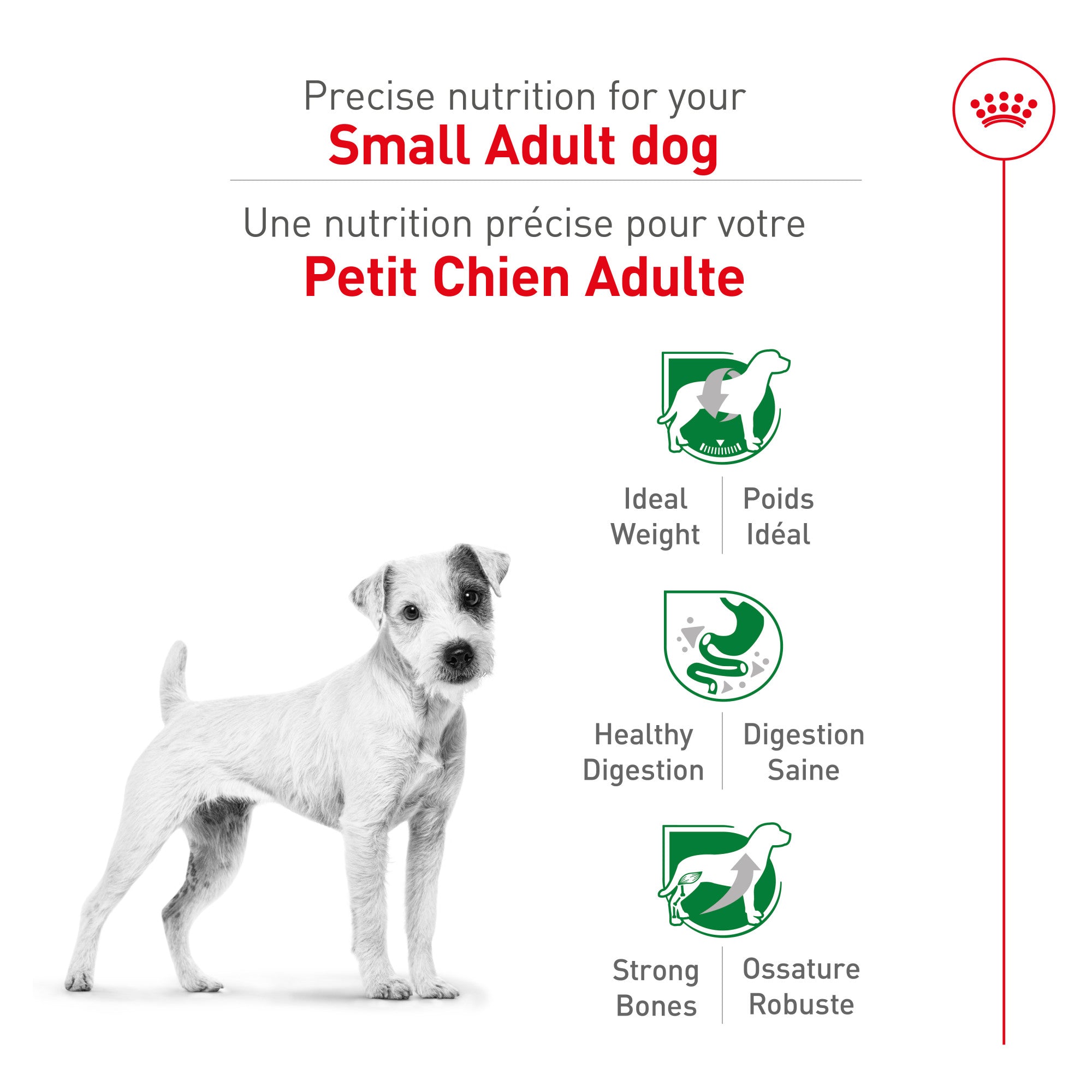 Royal Canin Croquettes pour chiens adultes de petite taille