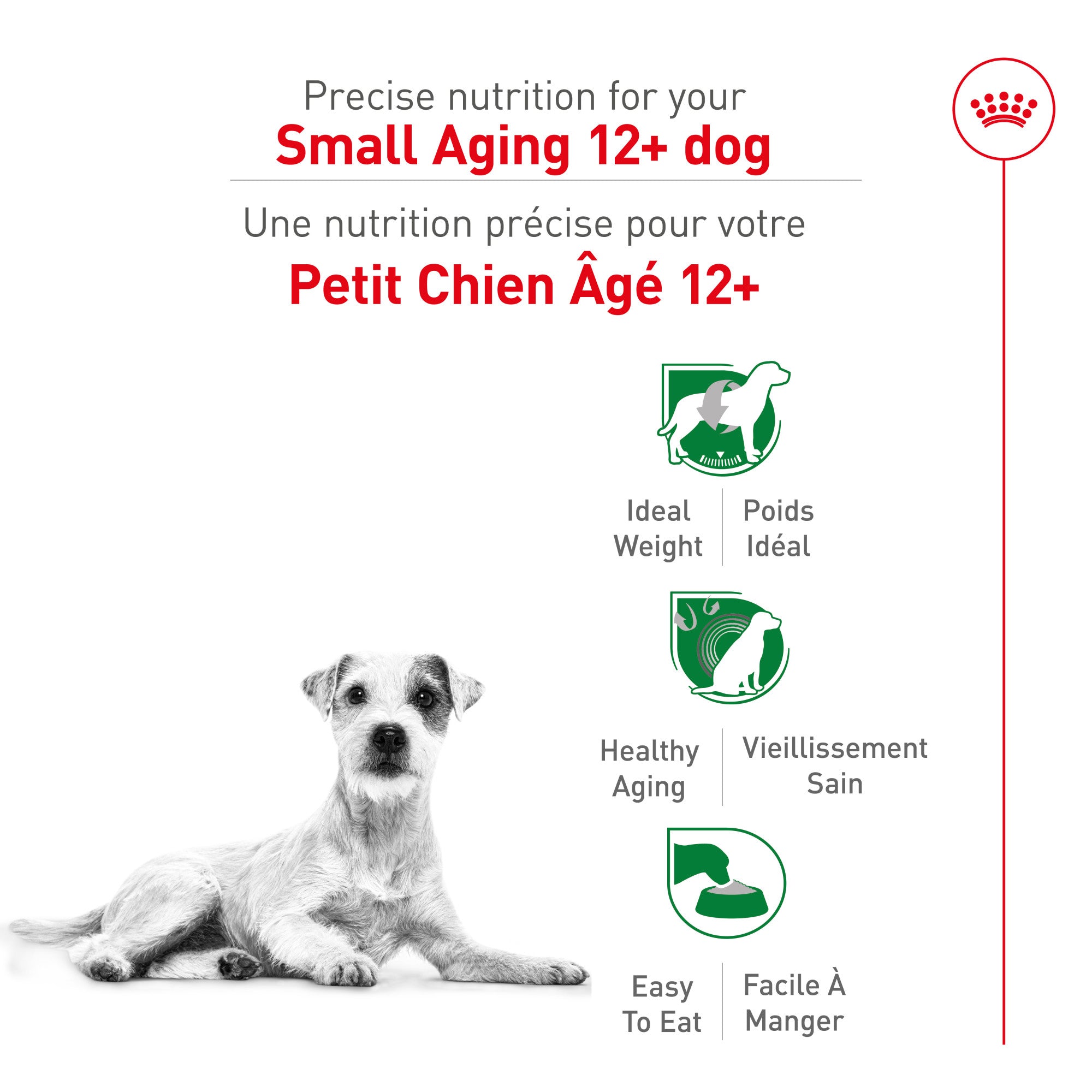 Nourriture pour chiens Royal Canin Small Ageing 12+