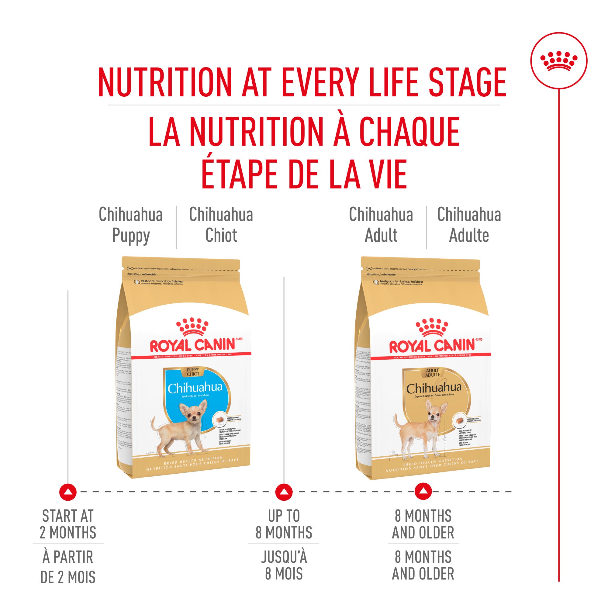 Royal Canin Breed Health Nutrition Chihuahua Puppy Dry Dog Food