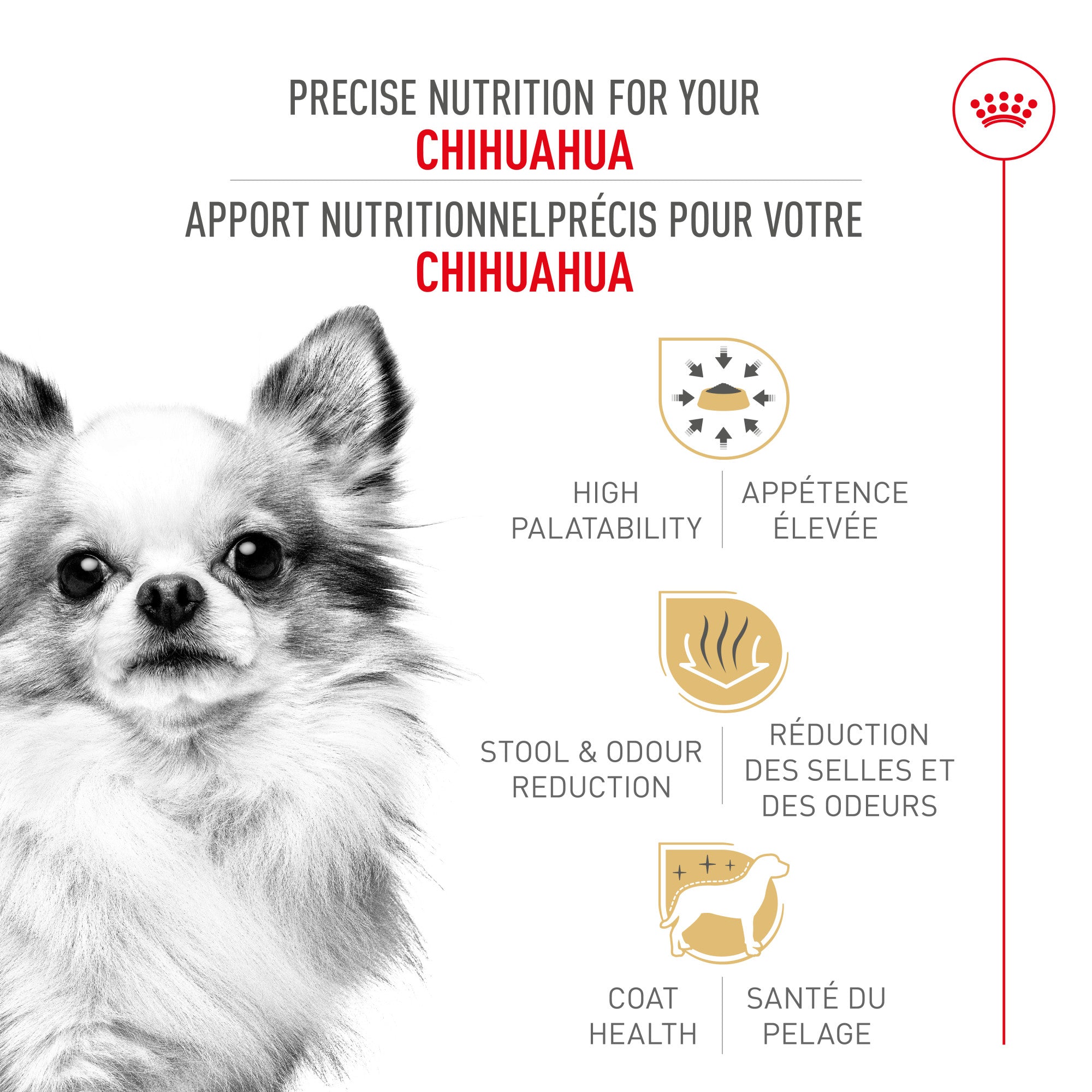 Royal Canin Nourriture pour chien Chihuahua