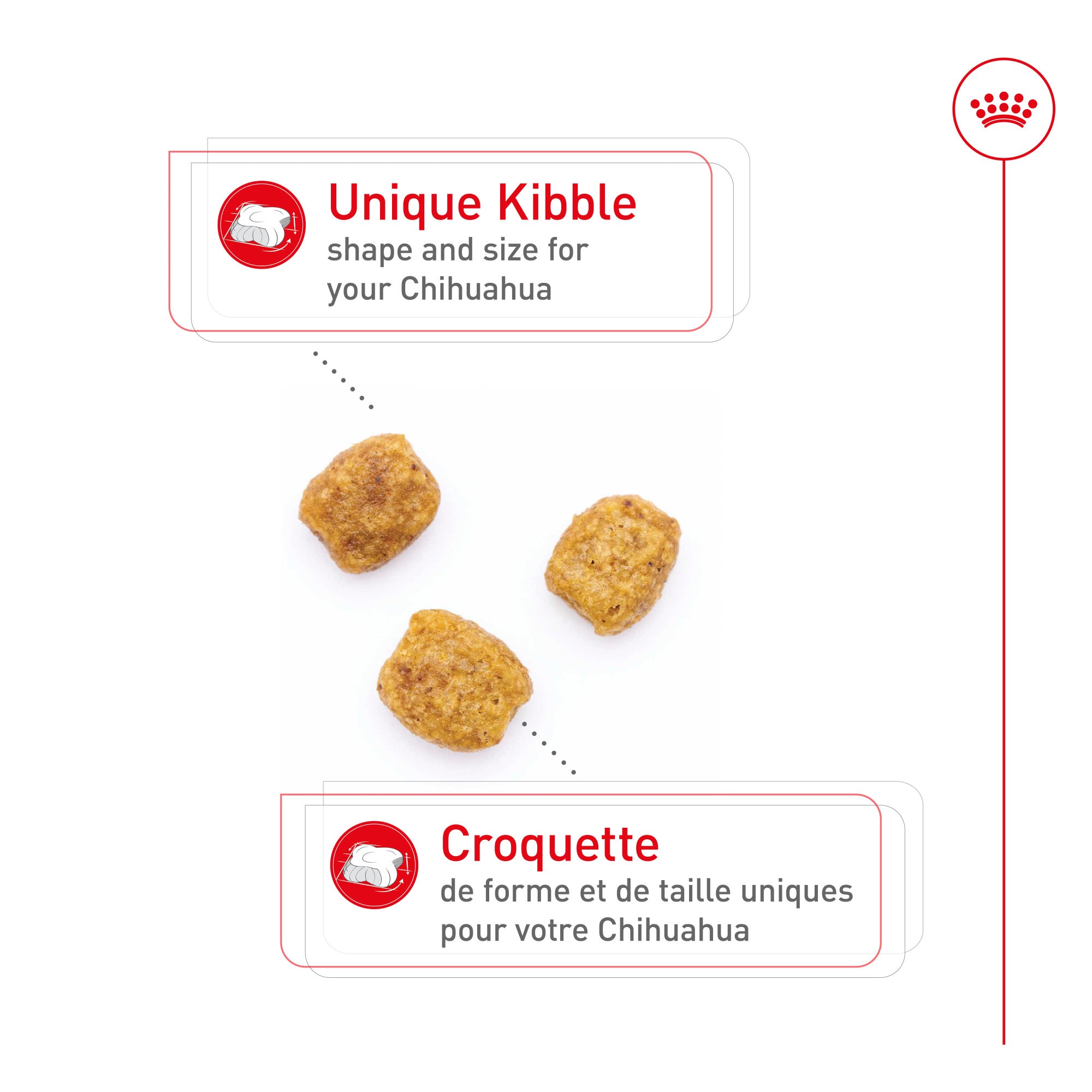 Royal Canin Nourriture pour chien Chihuahua