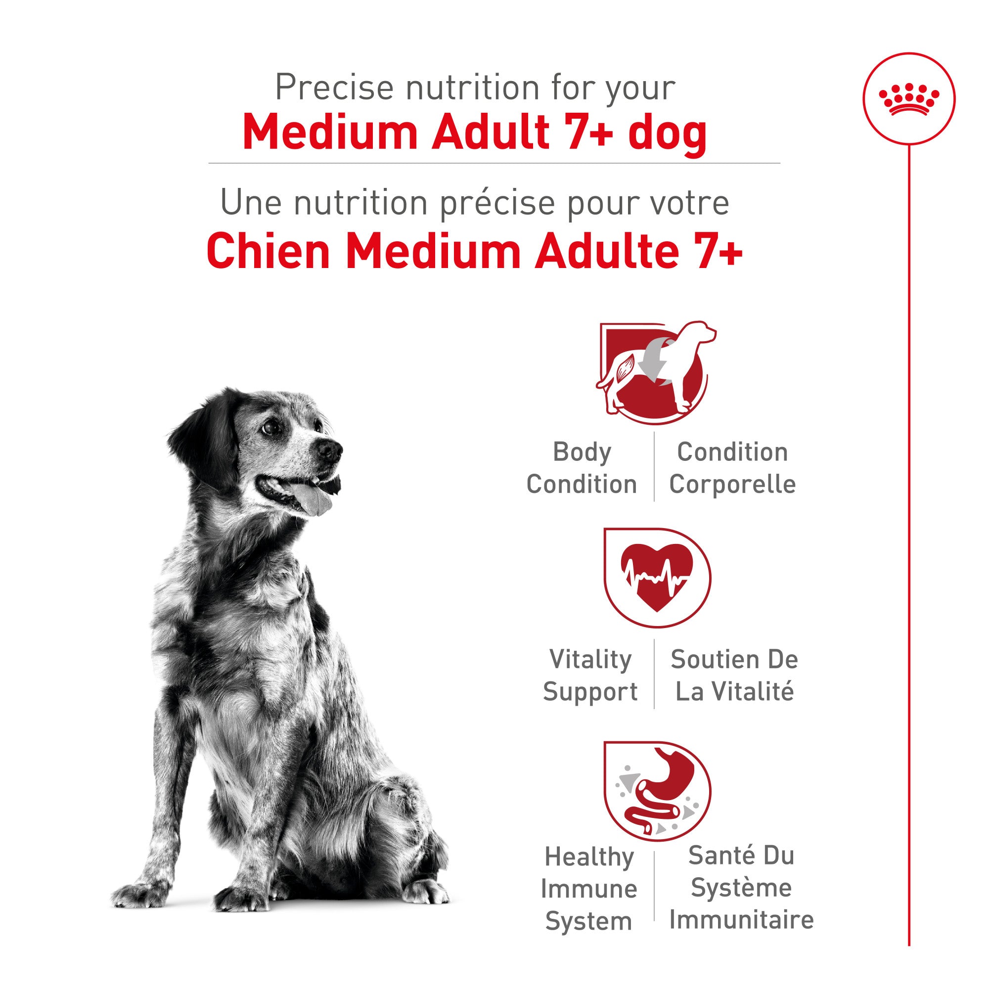 Royal Canin Health Nutrition Medium Adult 7+ Croquettes pour chiens