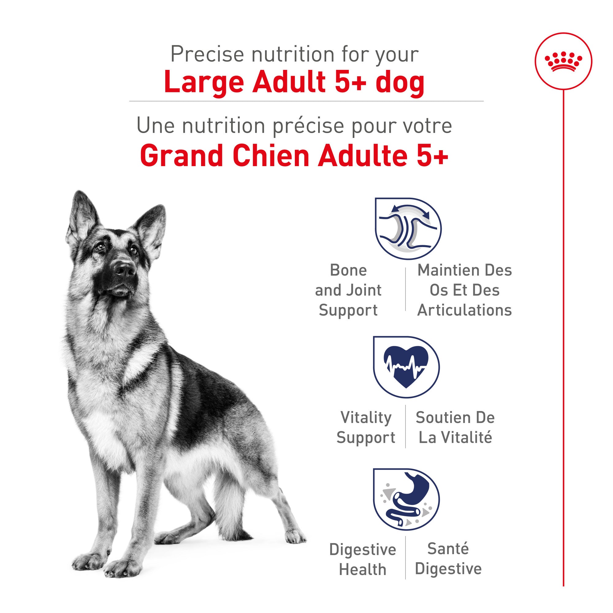 Royal Canin Nourriture pour chien Large Aging Care Adult 5+