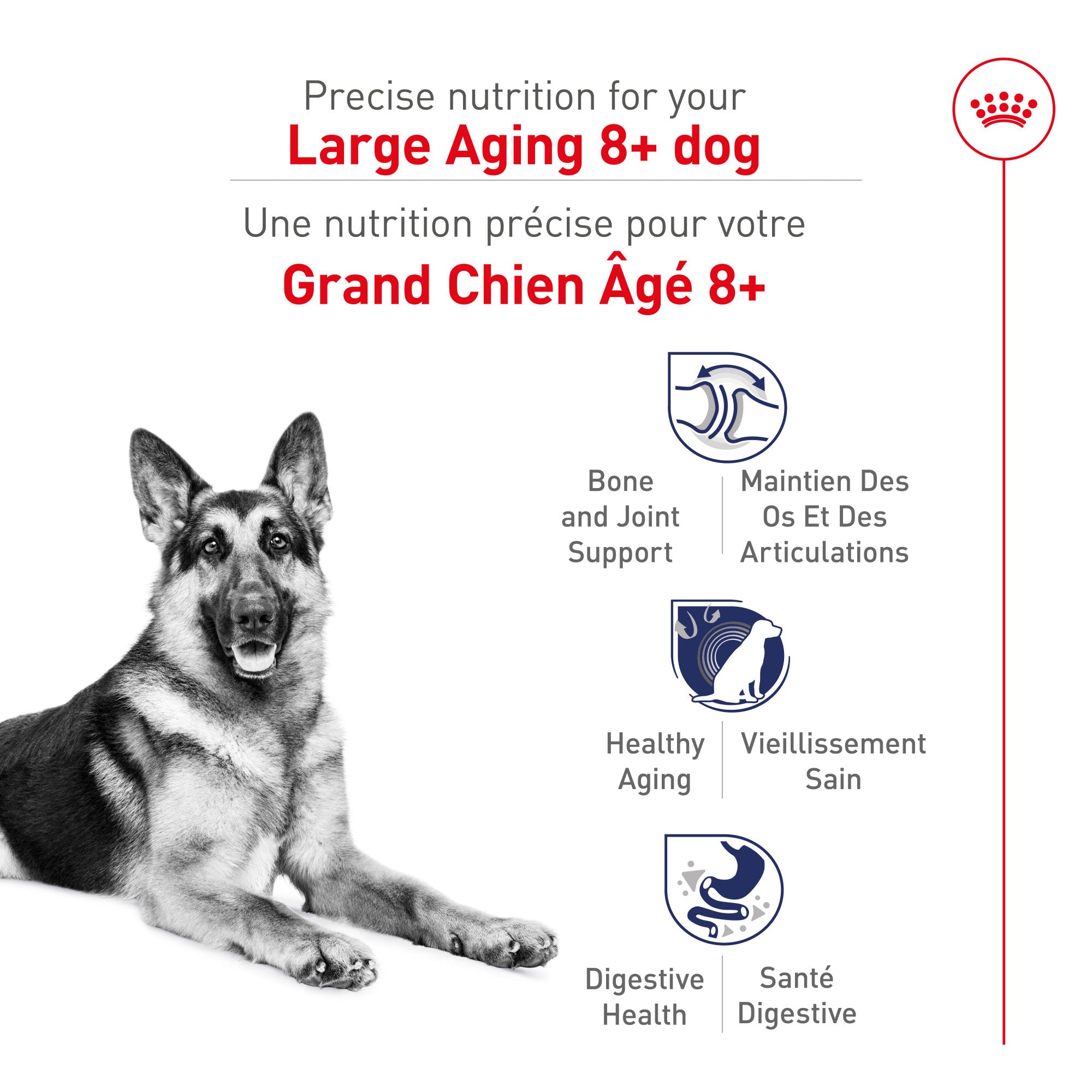 Royal Canin Nourriture sèche pour chiens de grande taille âgés de 8 ans et plus