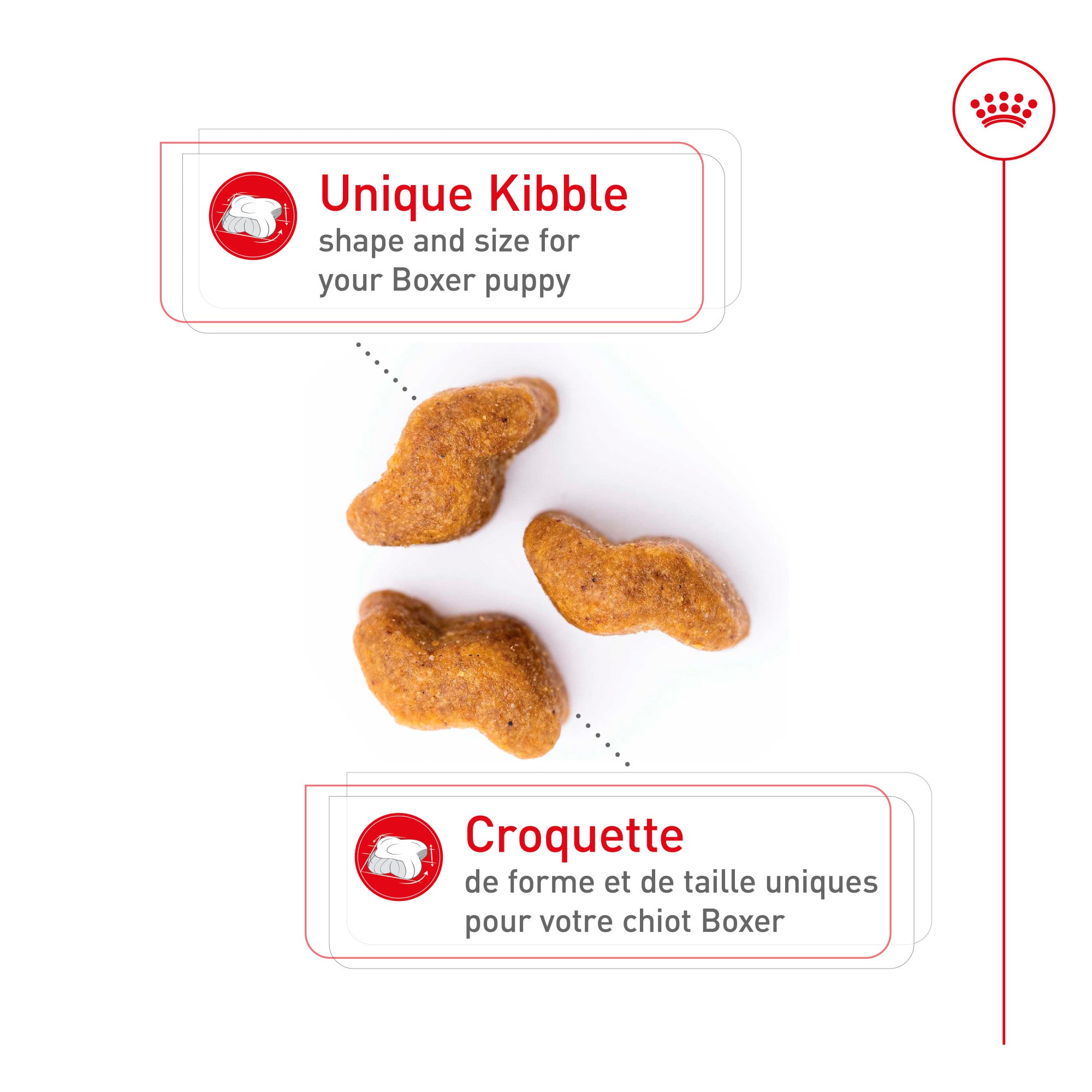 Nourriture pour chiots Royal Canin Boxer