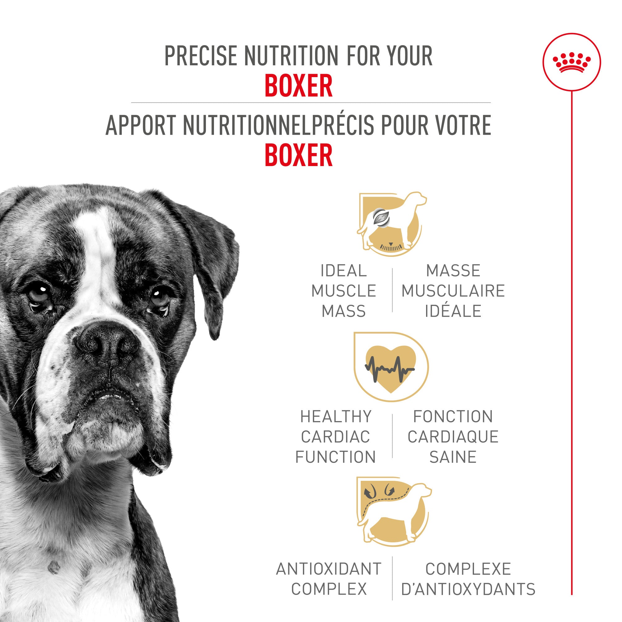 Royal Canin Breed Health Nutrition Boxer Adult Dry Dog Food