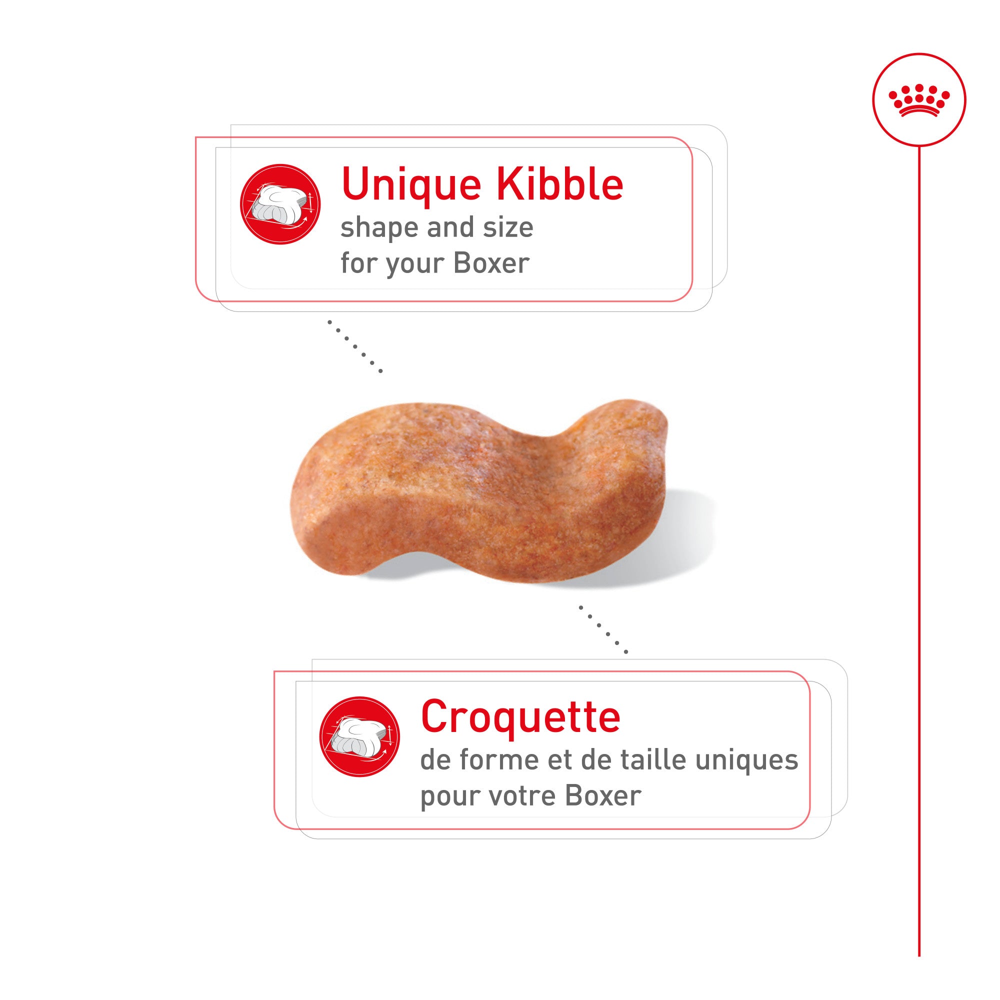 Royal Canin Breed Health Nutrition Boxer Adult Dry Dog Food