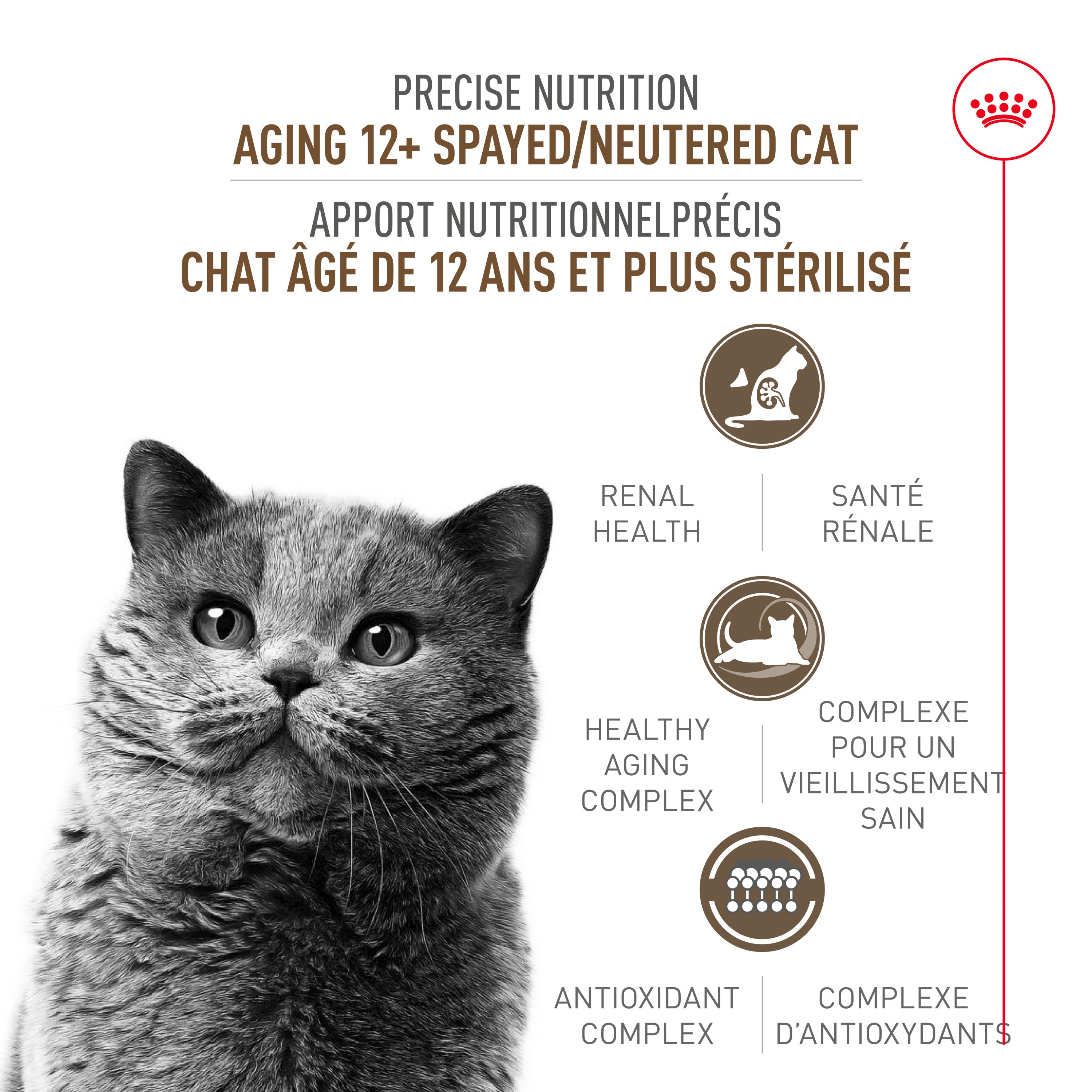 Royal Canin Feline Care Nutrition Spayed/Neutered Aging 12+ Nourriture sèche pour chats