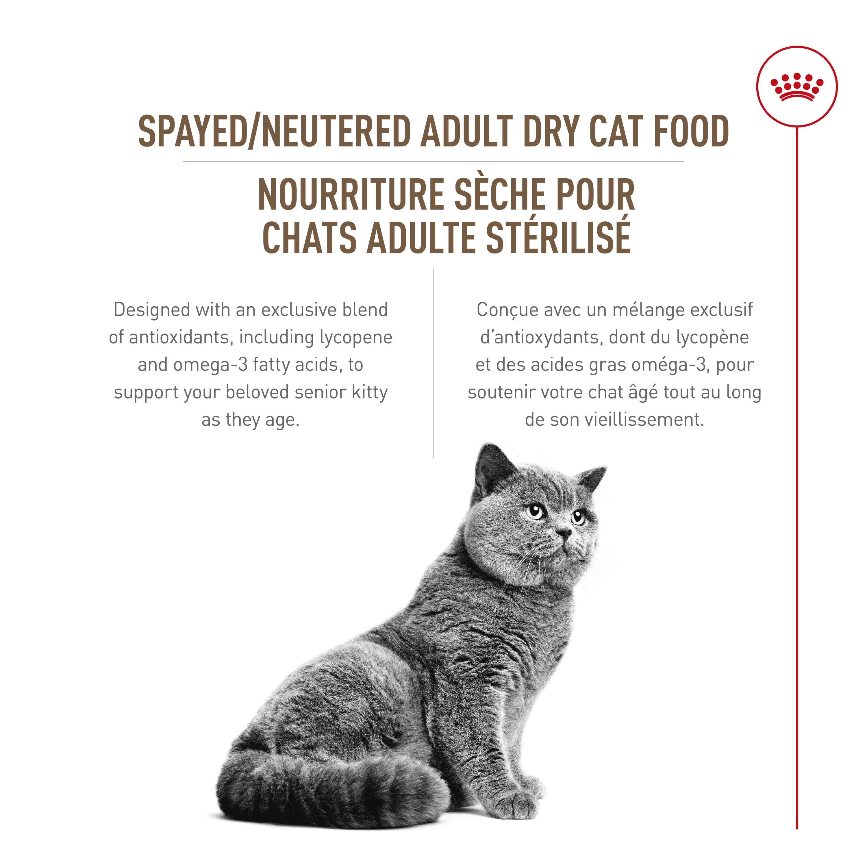 Royal Canin Feline Care Nutrition Spayed/Neutered Aging 12+ Nourriture sèche pour chats