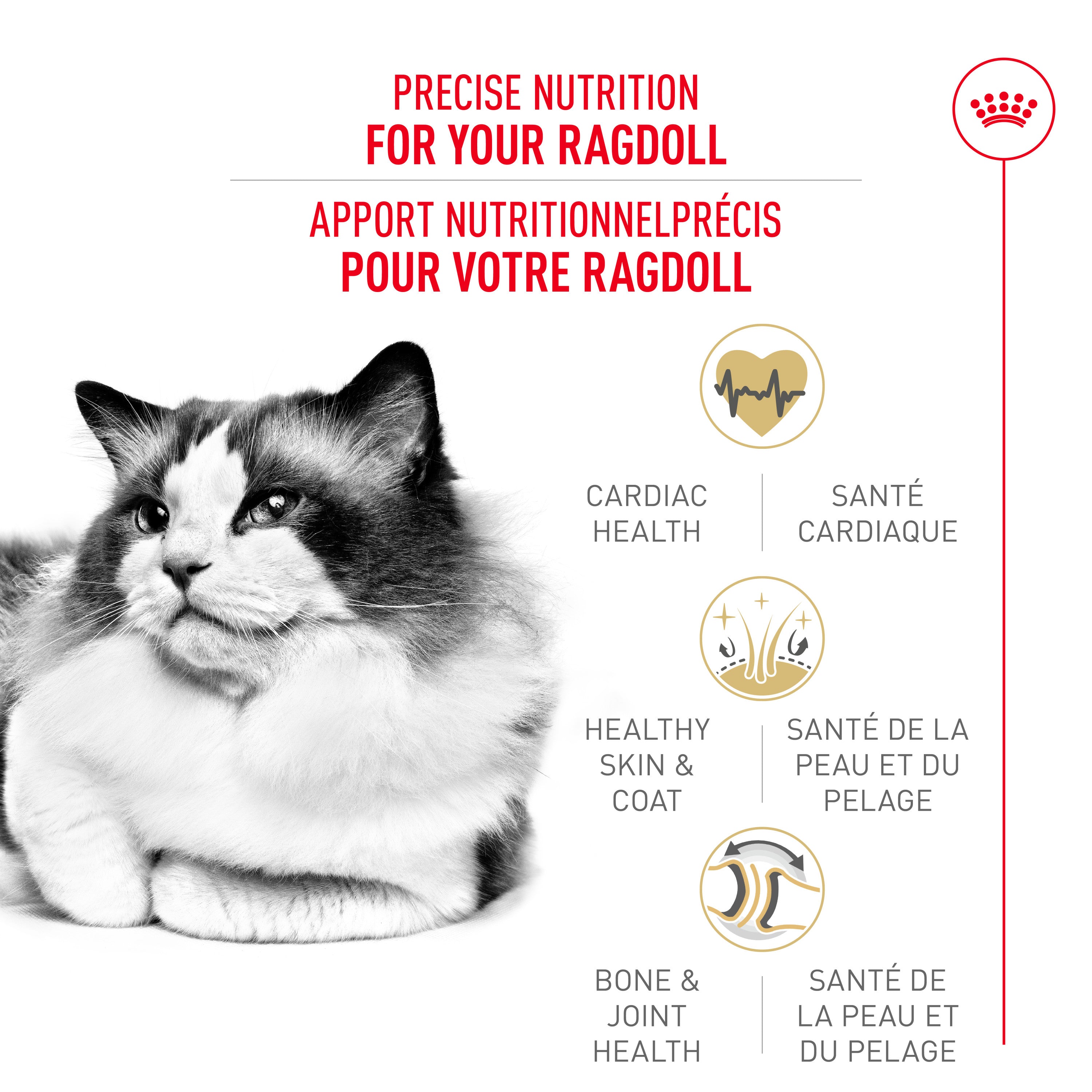 Royal Canin Feline Breed Nutrition Ragdoll Croquettes pour Chats Adultes