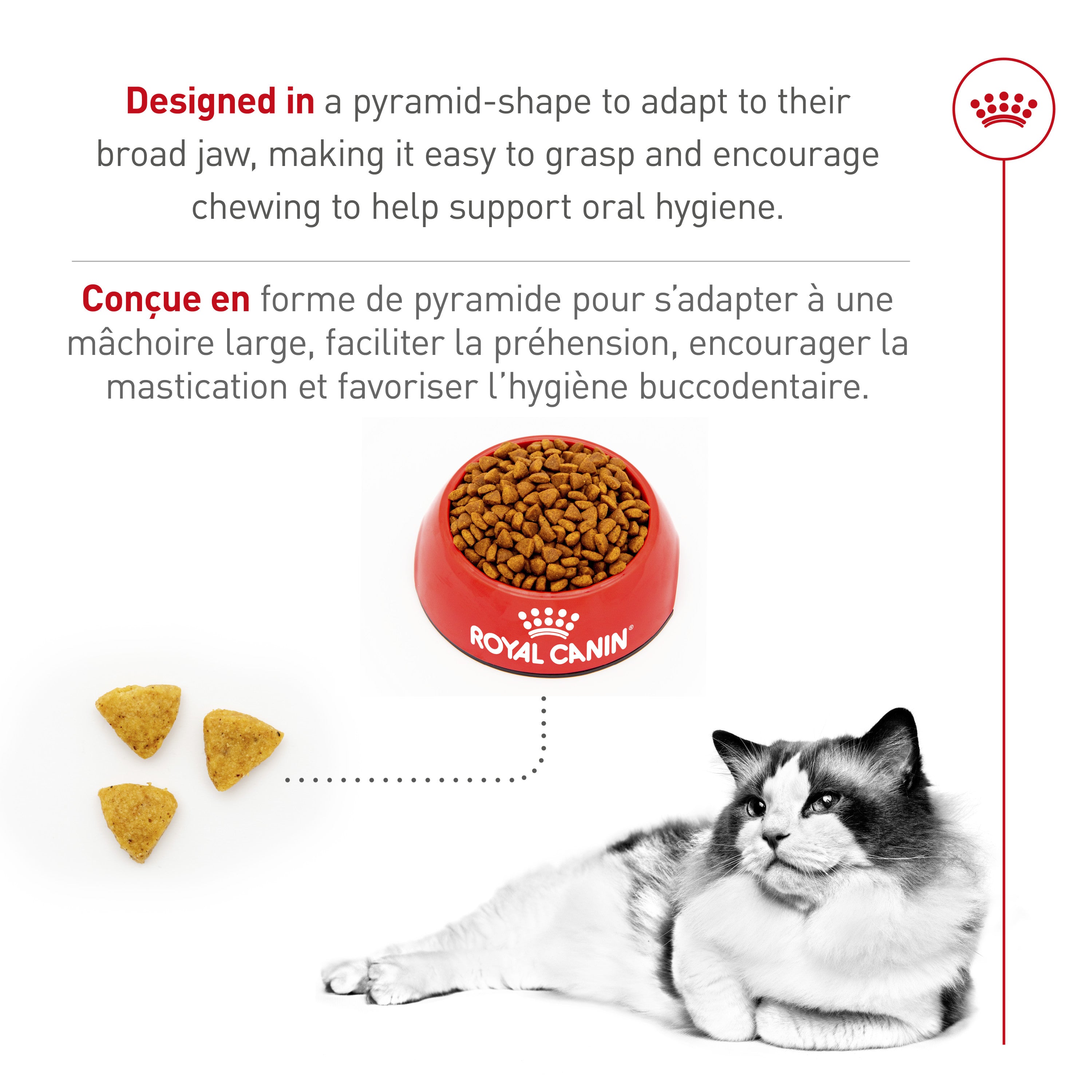 Royal Canin Feline Breed Nutrition Ragdoll Croquettes pour Chats Adultes