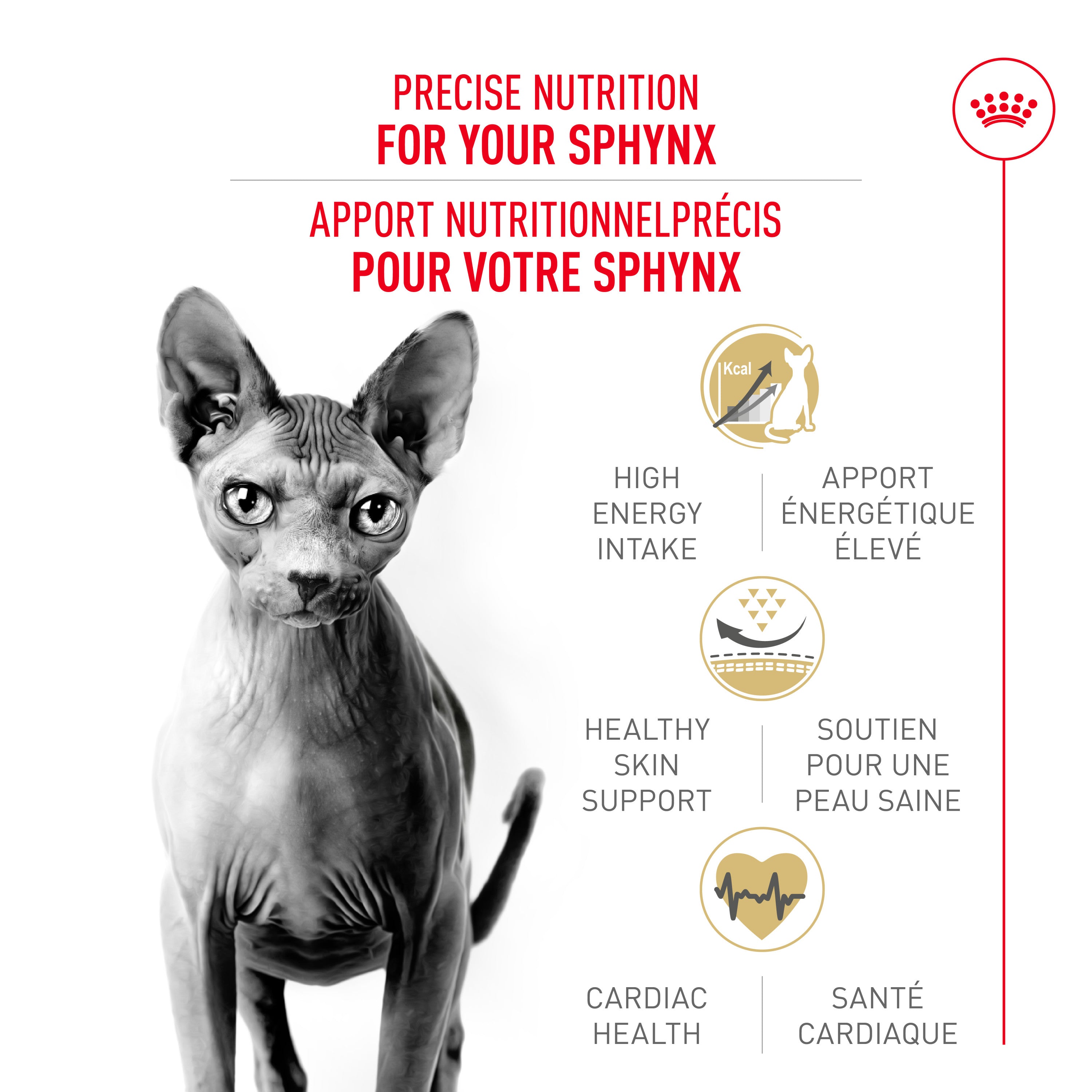 Royal Canin Feline Breed Nutrition Sphynx Adult Dry Cat Food