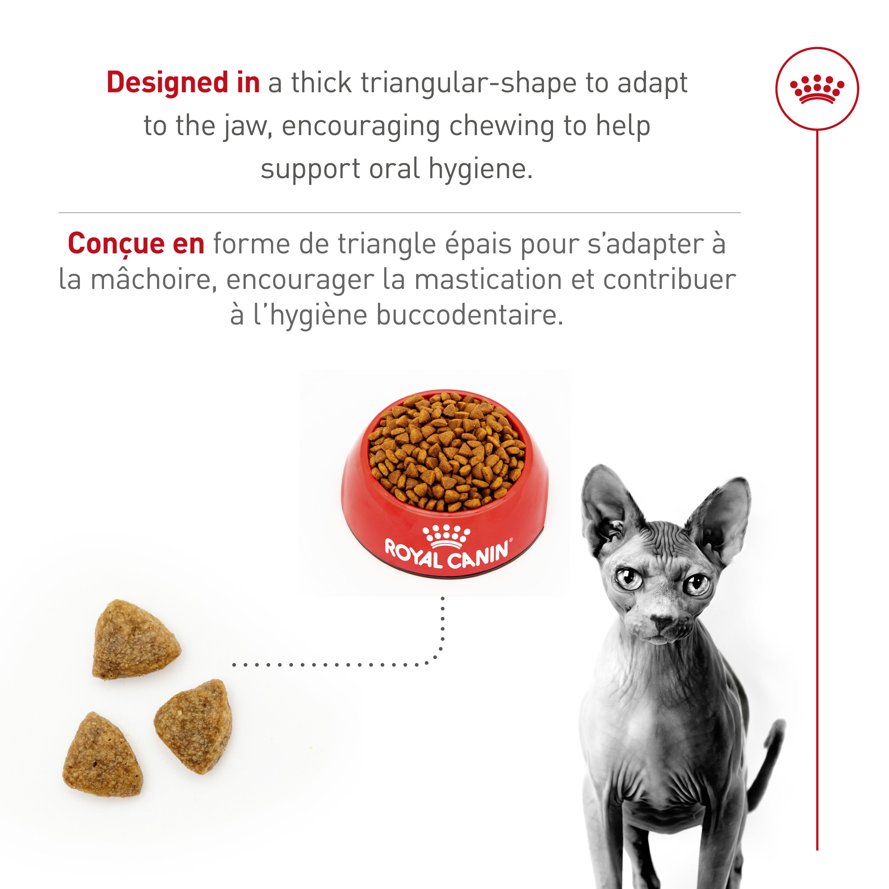 Royal Canin Feline Breed Nutrition Sphynx Adult Dry Cat Food