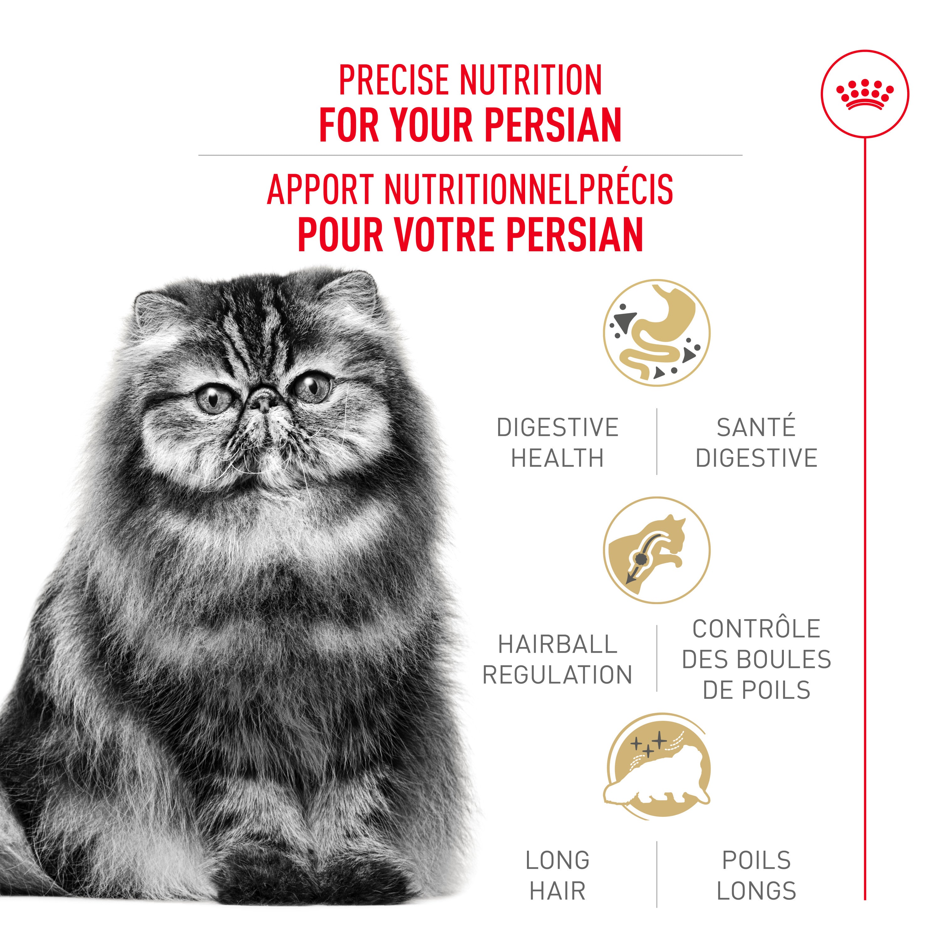 Royal Canin® Feline Breed Nutrition™ Persian Adult Dry Cat Food