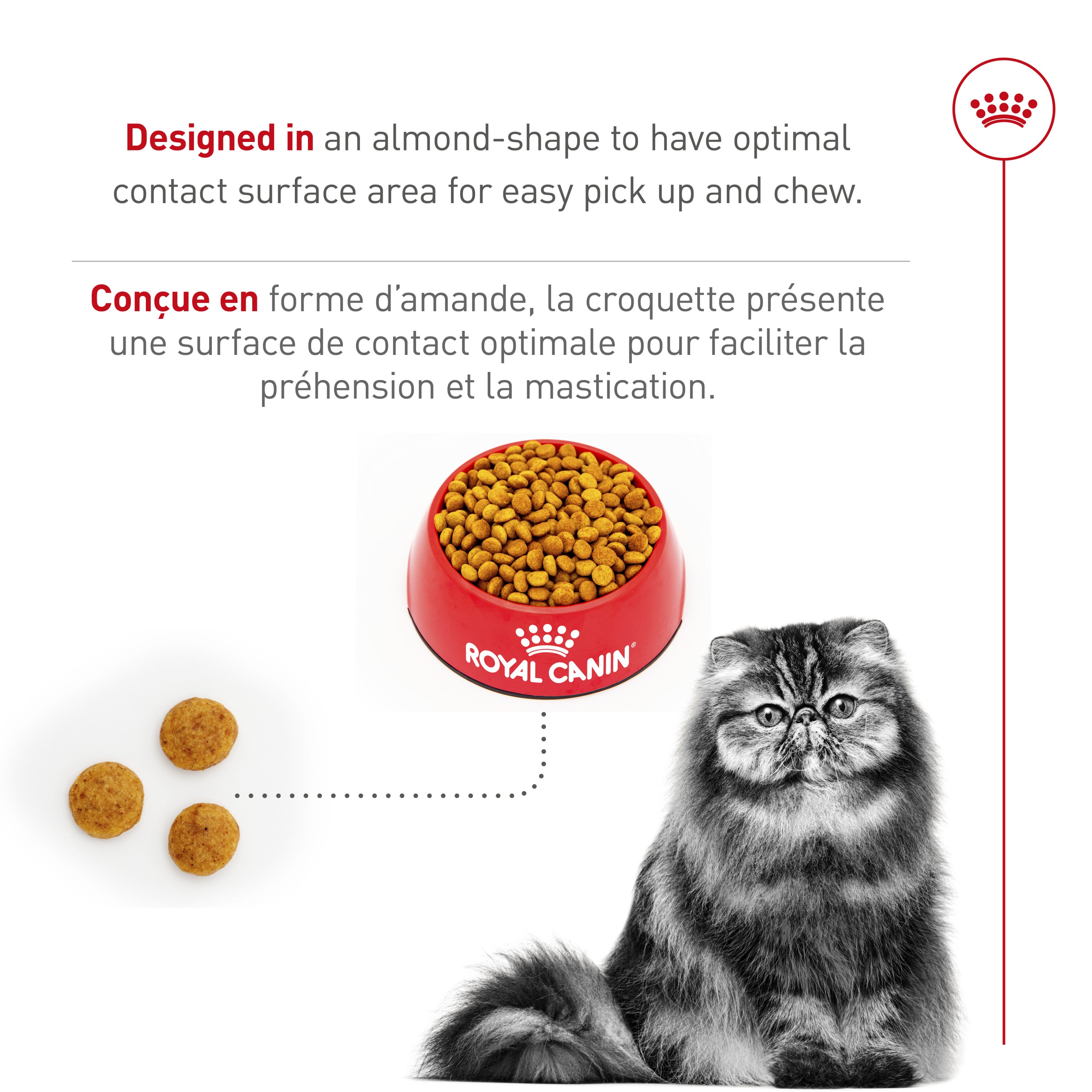 Royal Canin® Feline Breed Nutrition™ Persian Adult Dry Cat Food